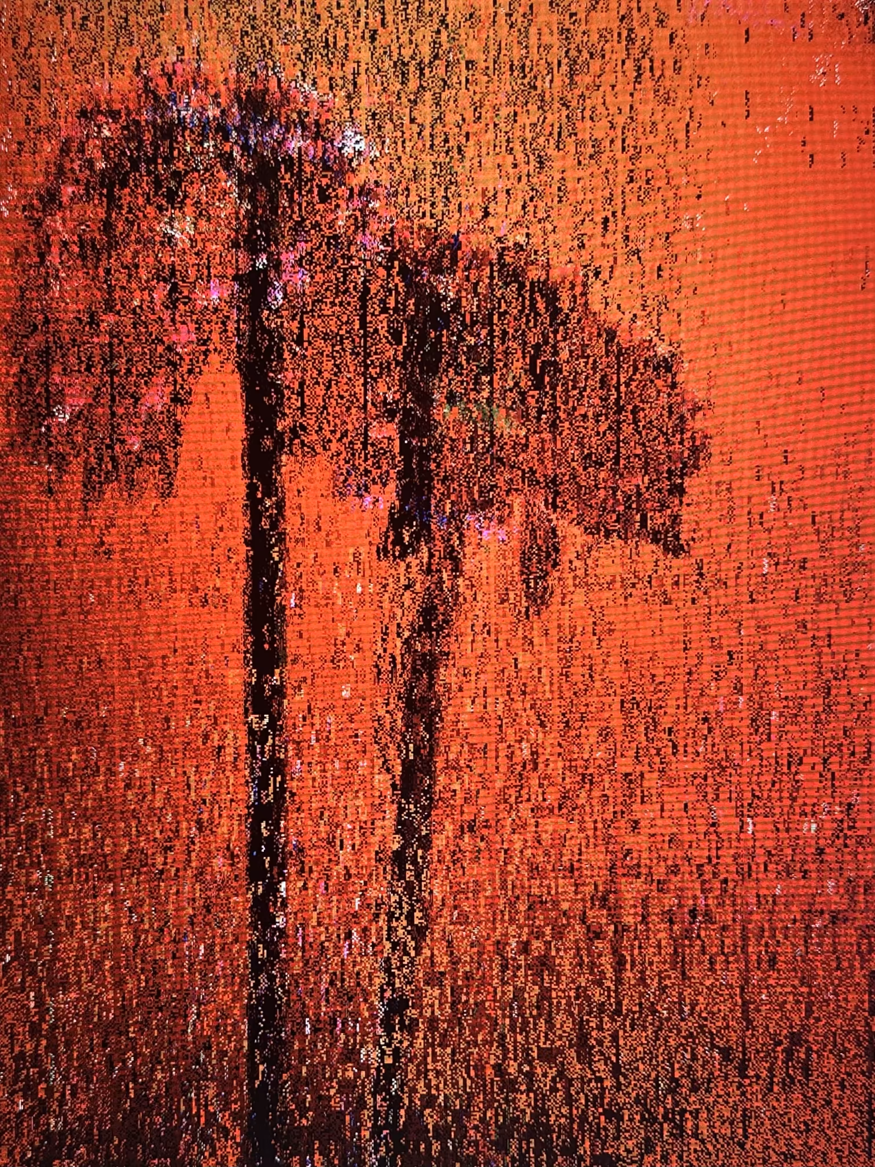 LOWREZ143