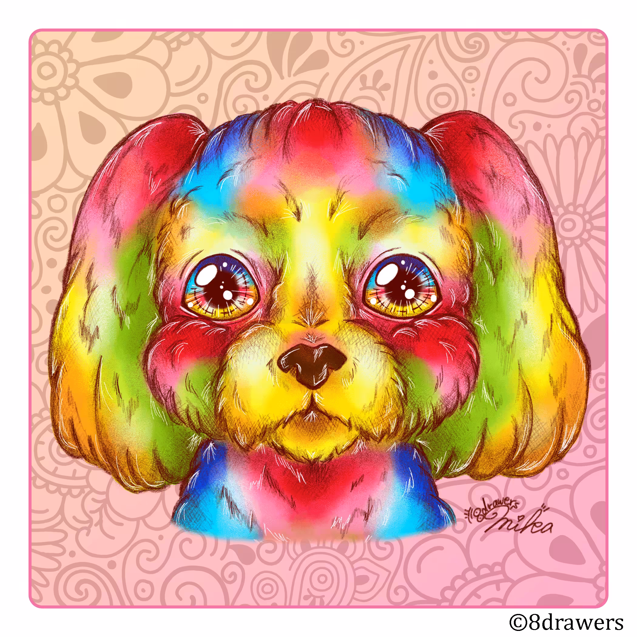 Toy poodle #013