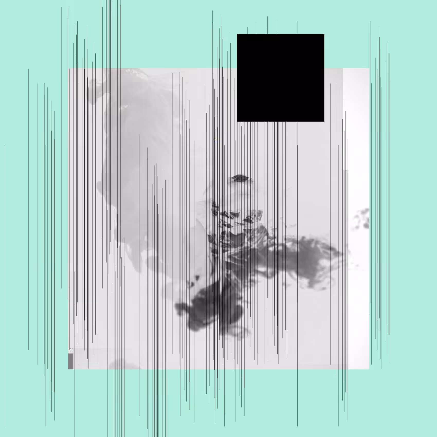 Motions #12