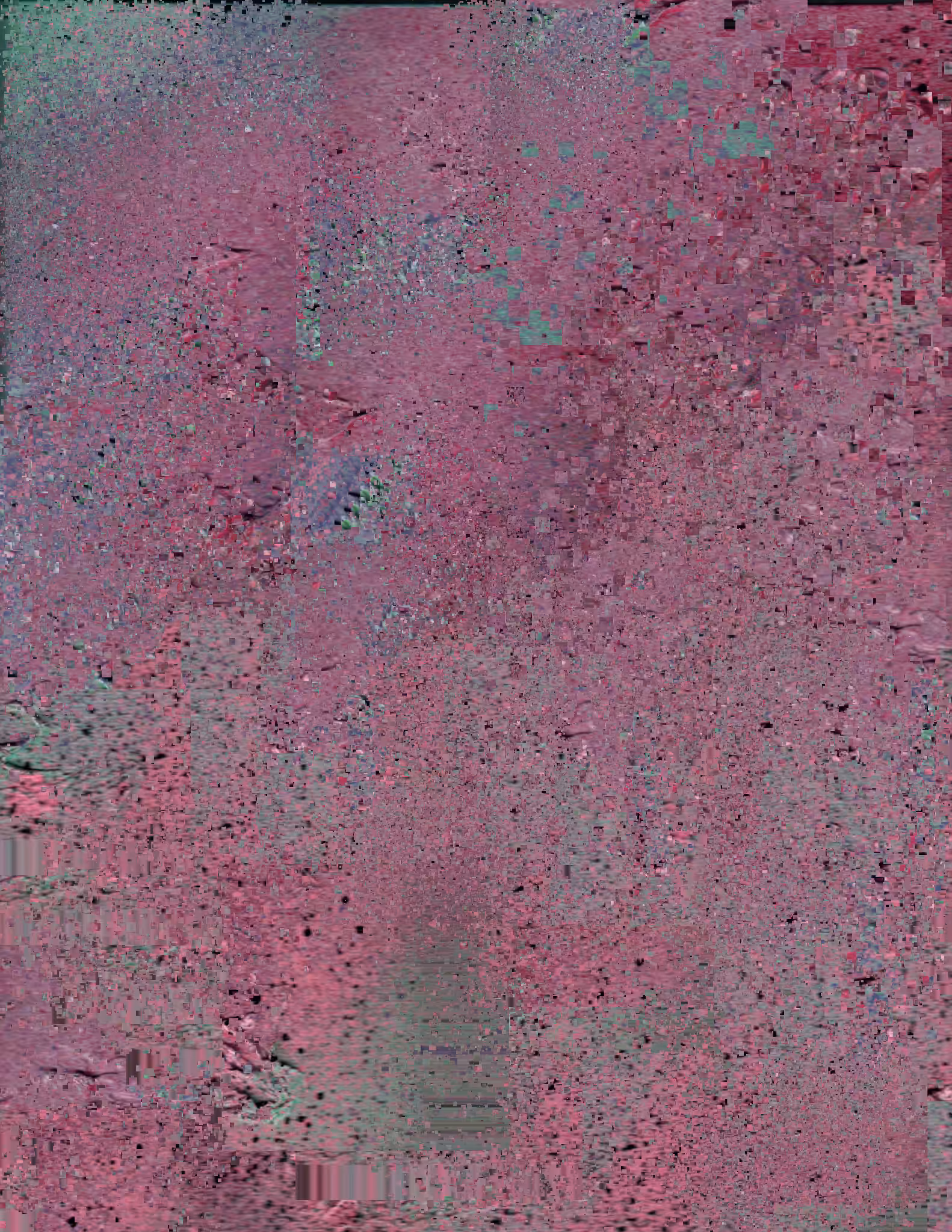 The Crossover into the Digital Plane of Reality Involves Many Steps into the Grey Matter DMZ