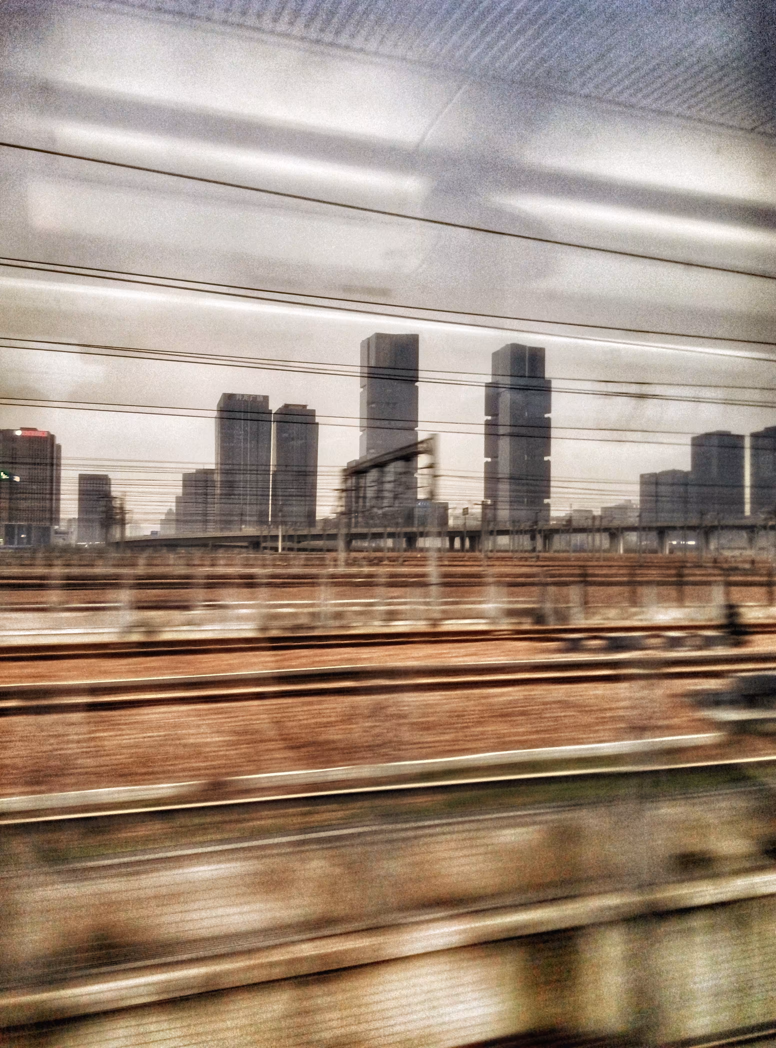 Transience life
