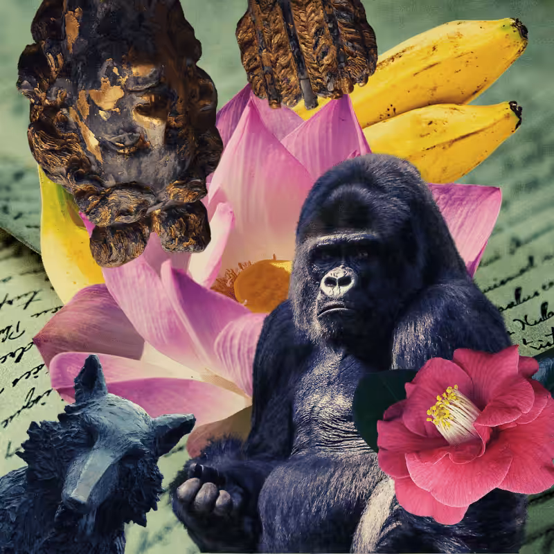 Banana flower #57