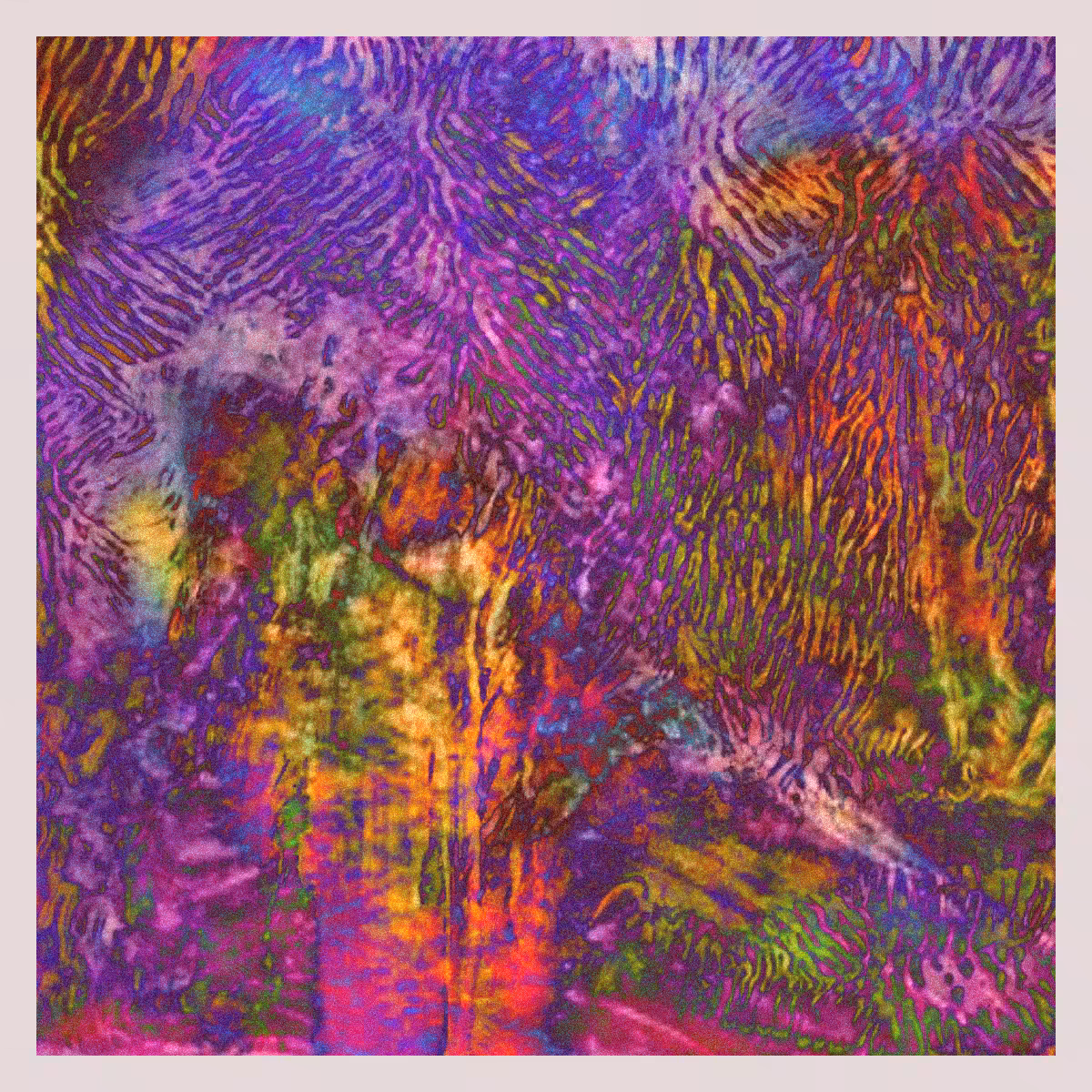 orGANics #54