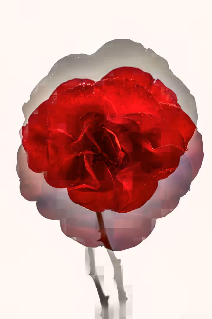 Flower #05