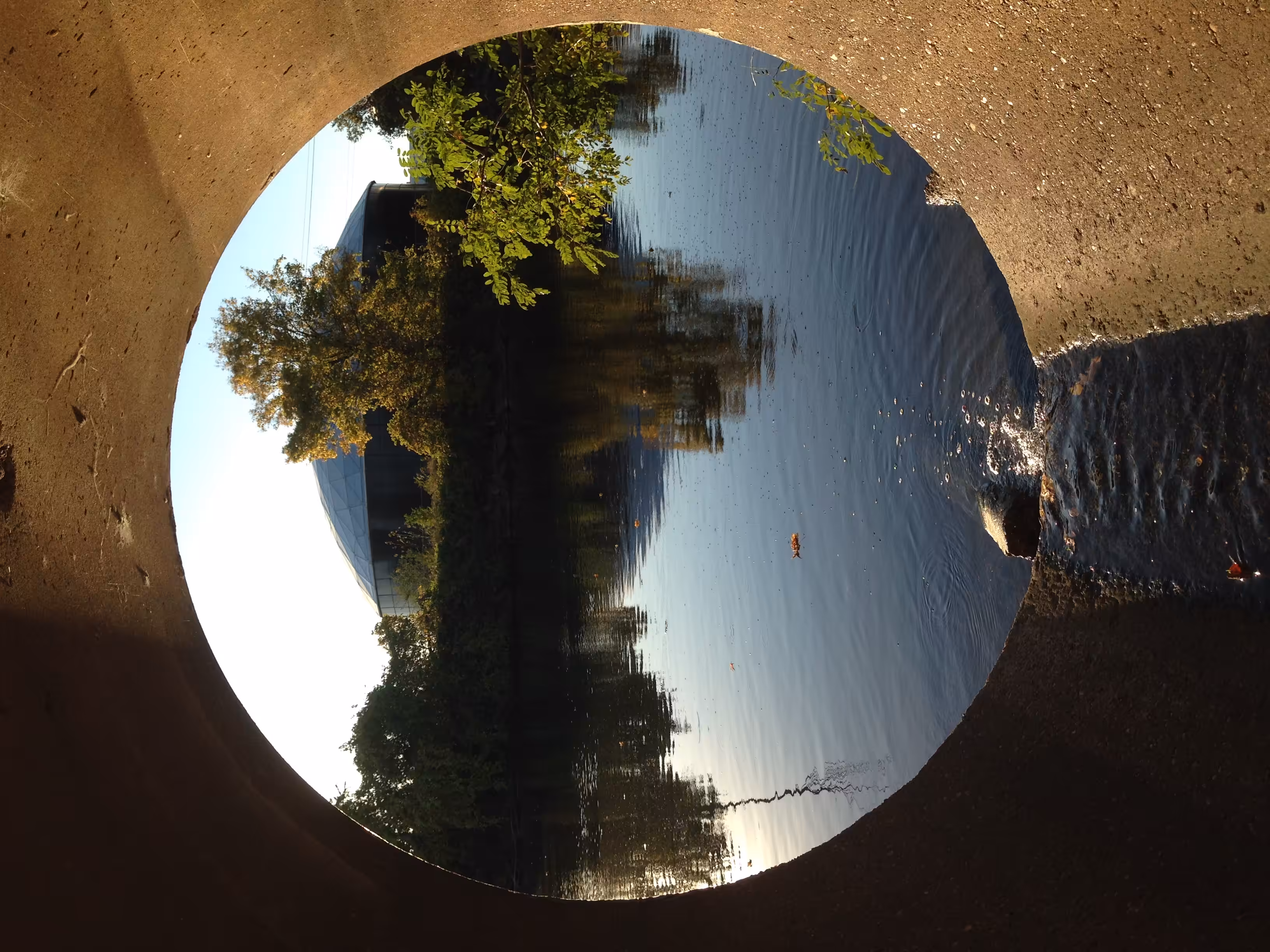 The Portal Back to Earth