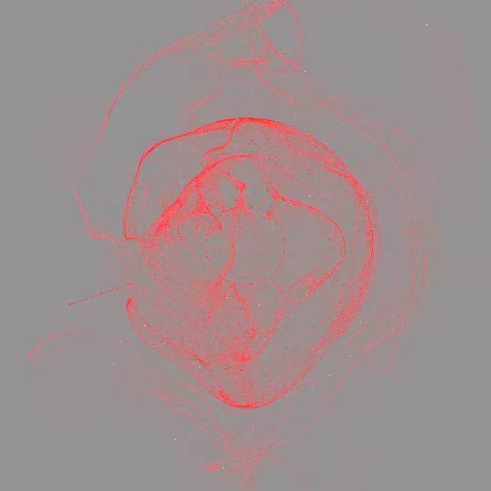Entangled #3