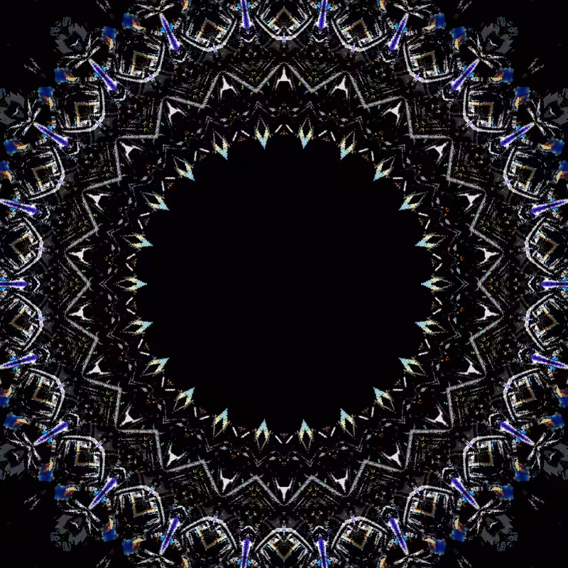 Blotter Motion #8