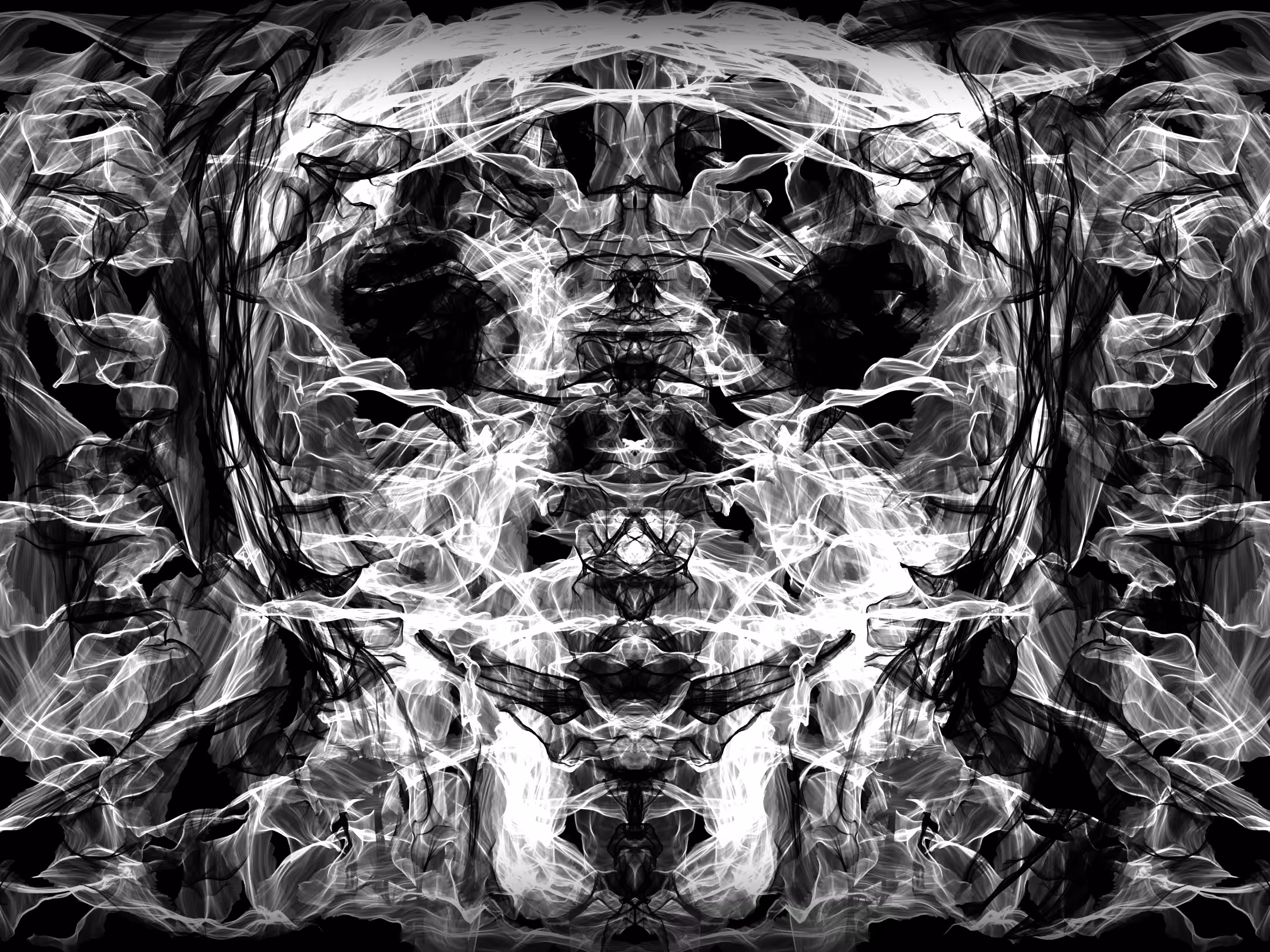 Silk Void – Black & White Generative Series 