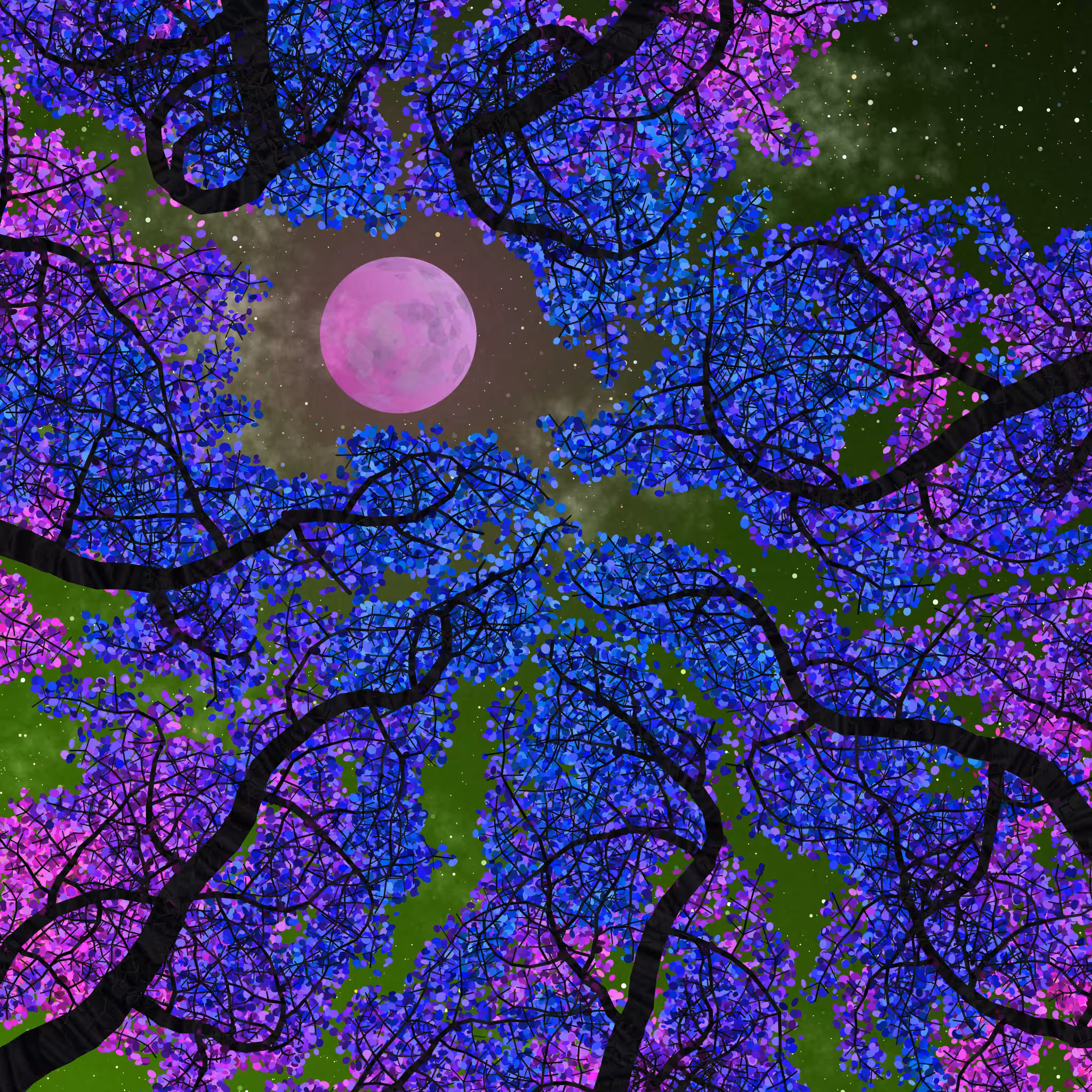 Tree Skyness #24