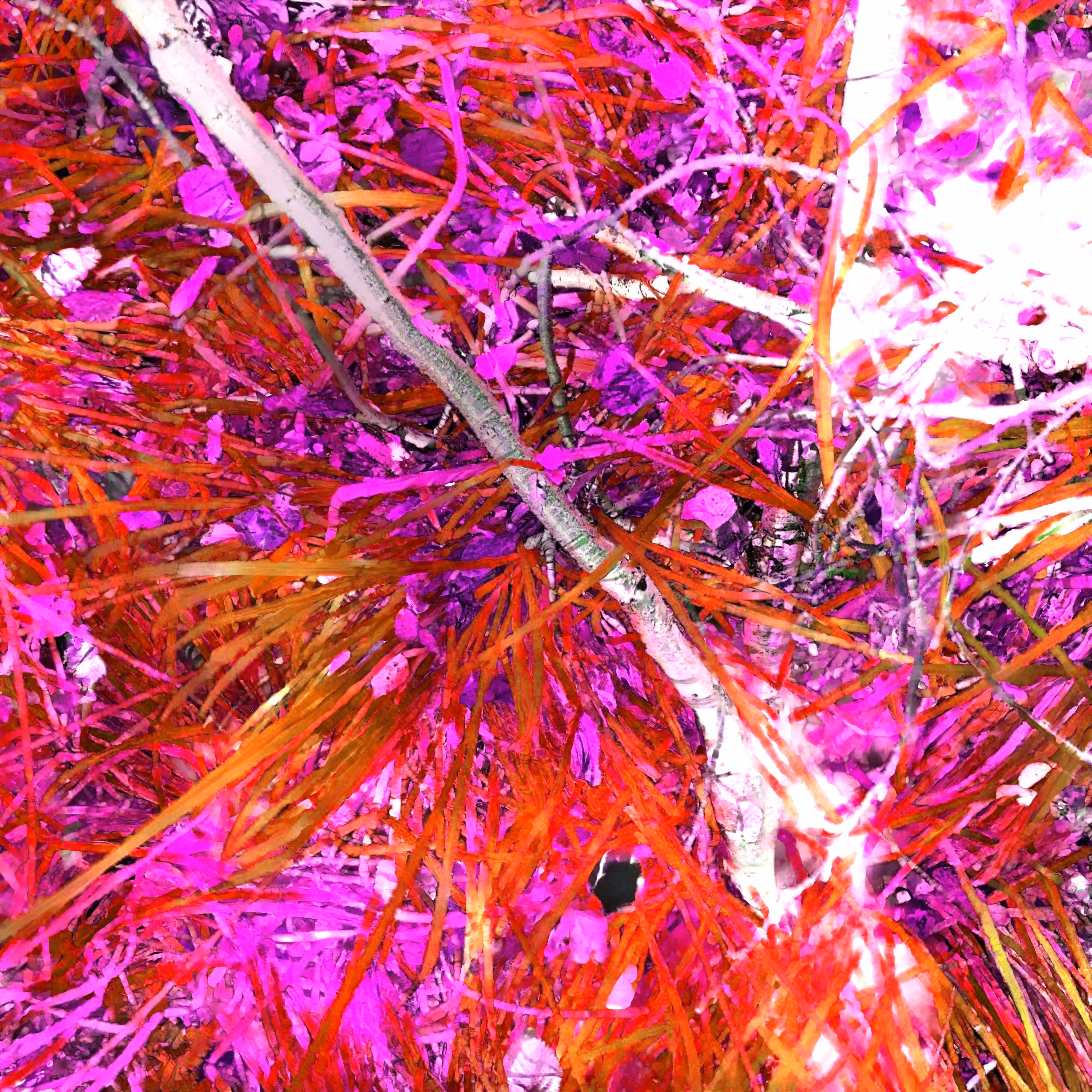 Plot u329hvn77