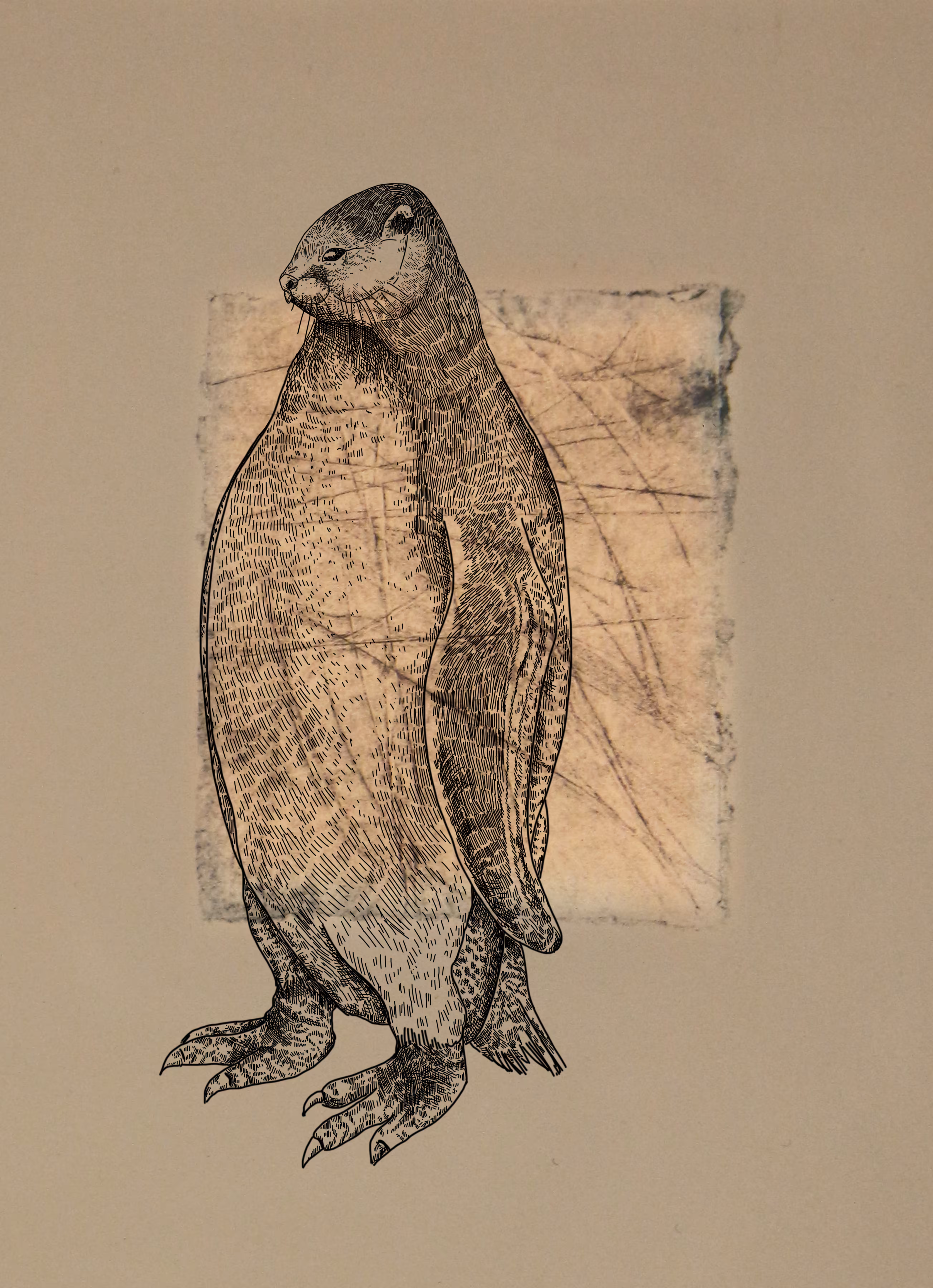 Penguver