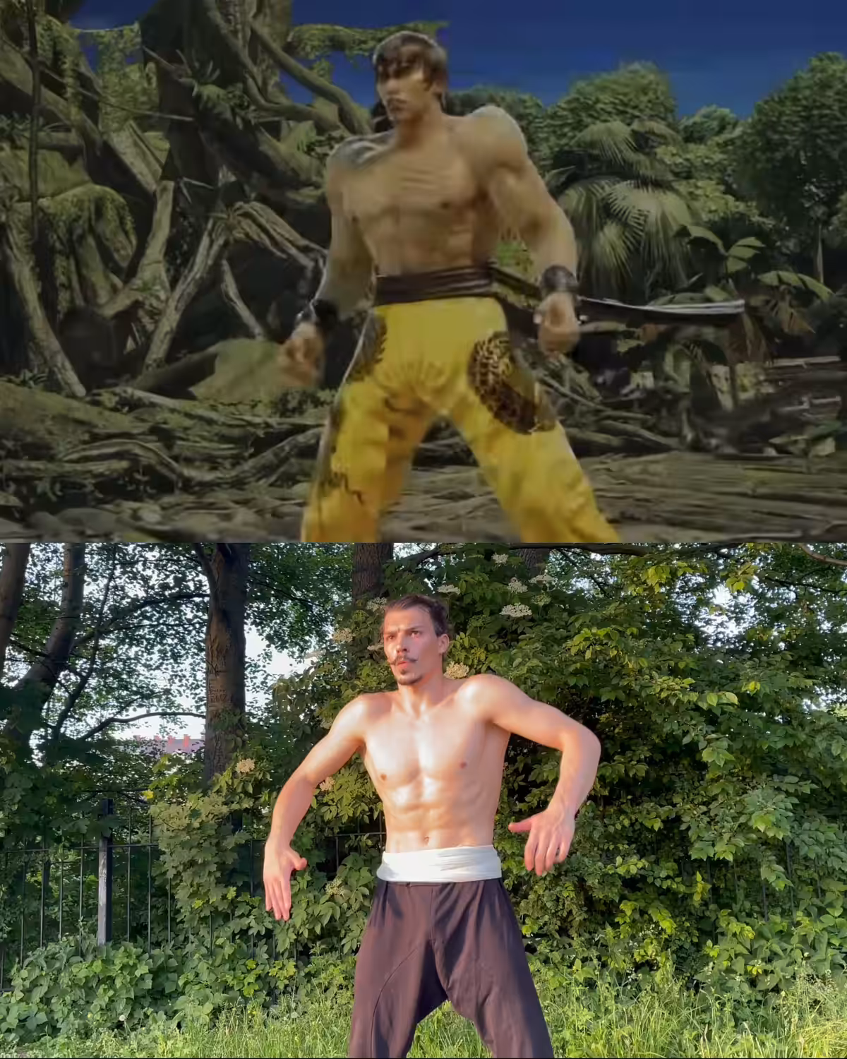 Real Life: Tekken Law 10 Hit Combo