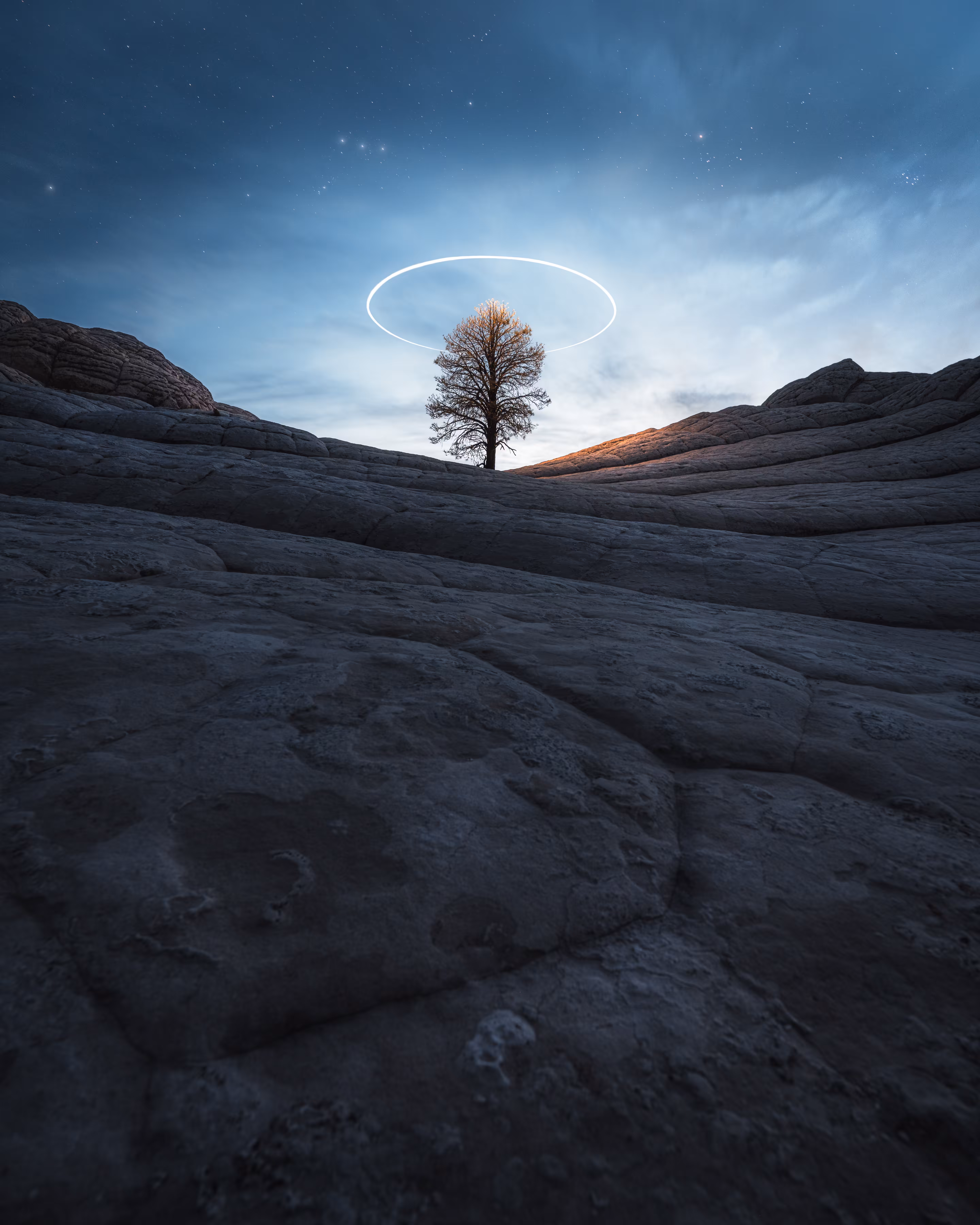 Alone in Twilight