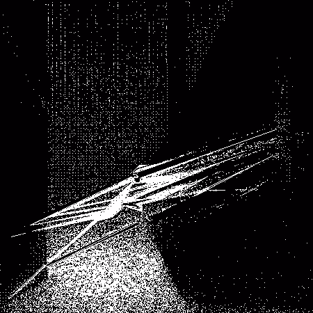 Paranoise