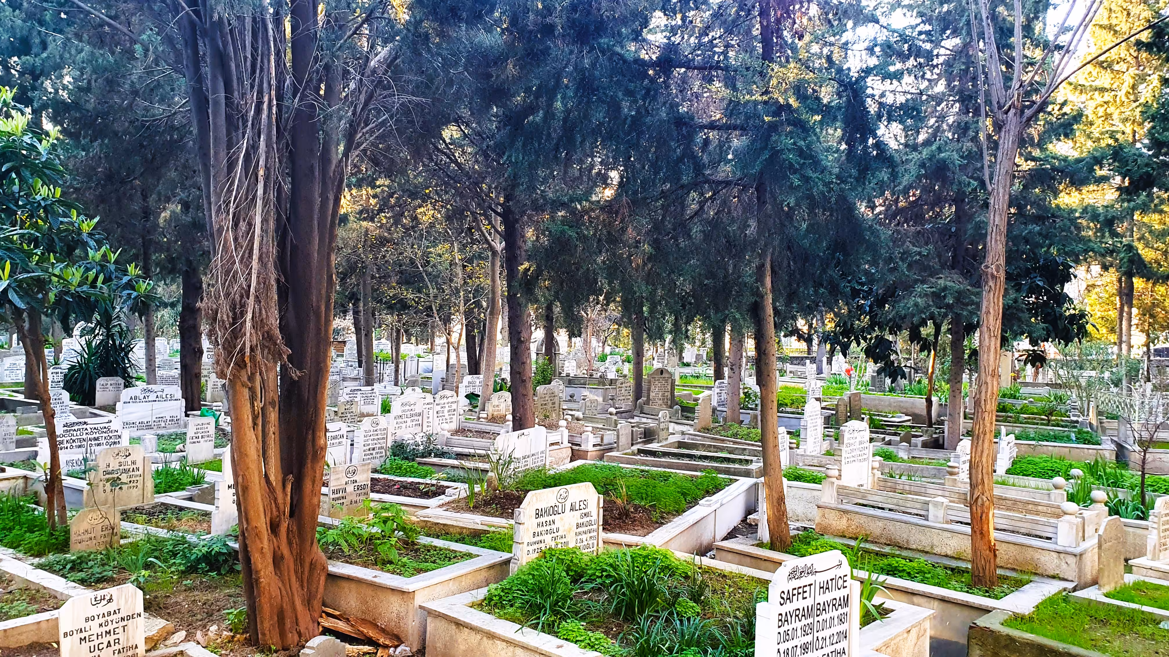 Cemetery-4