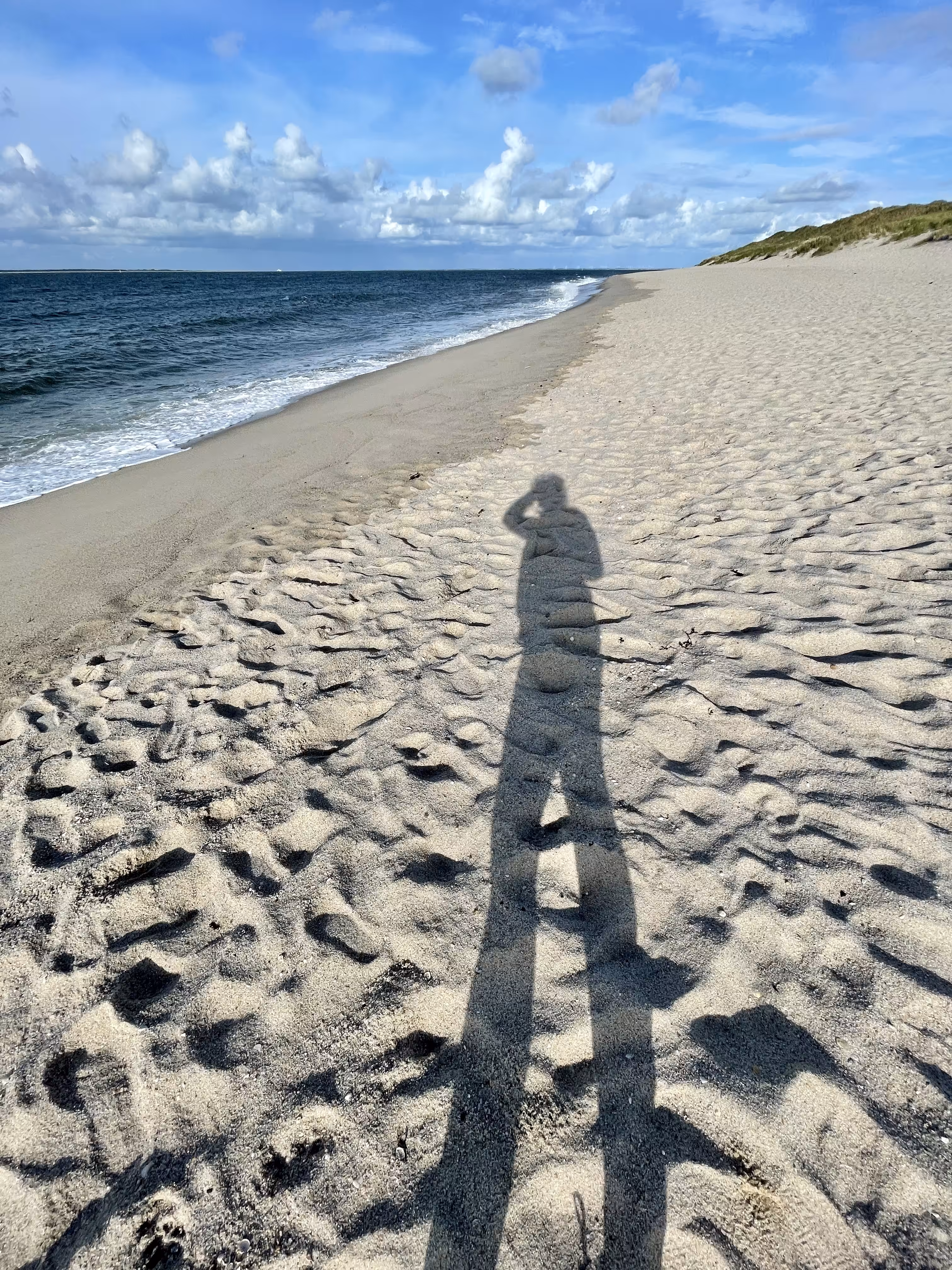 my shadow on the beach