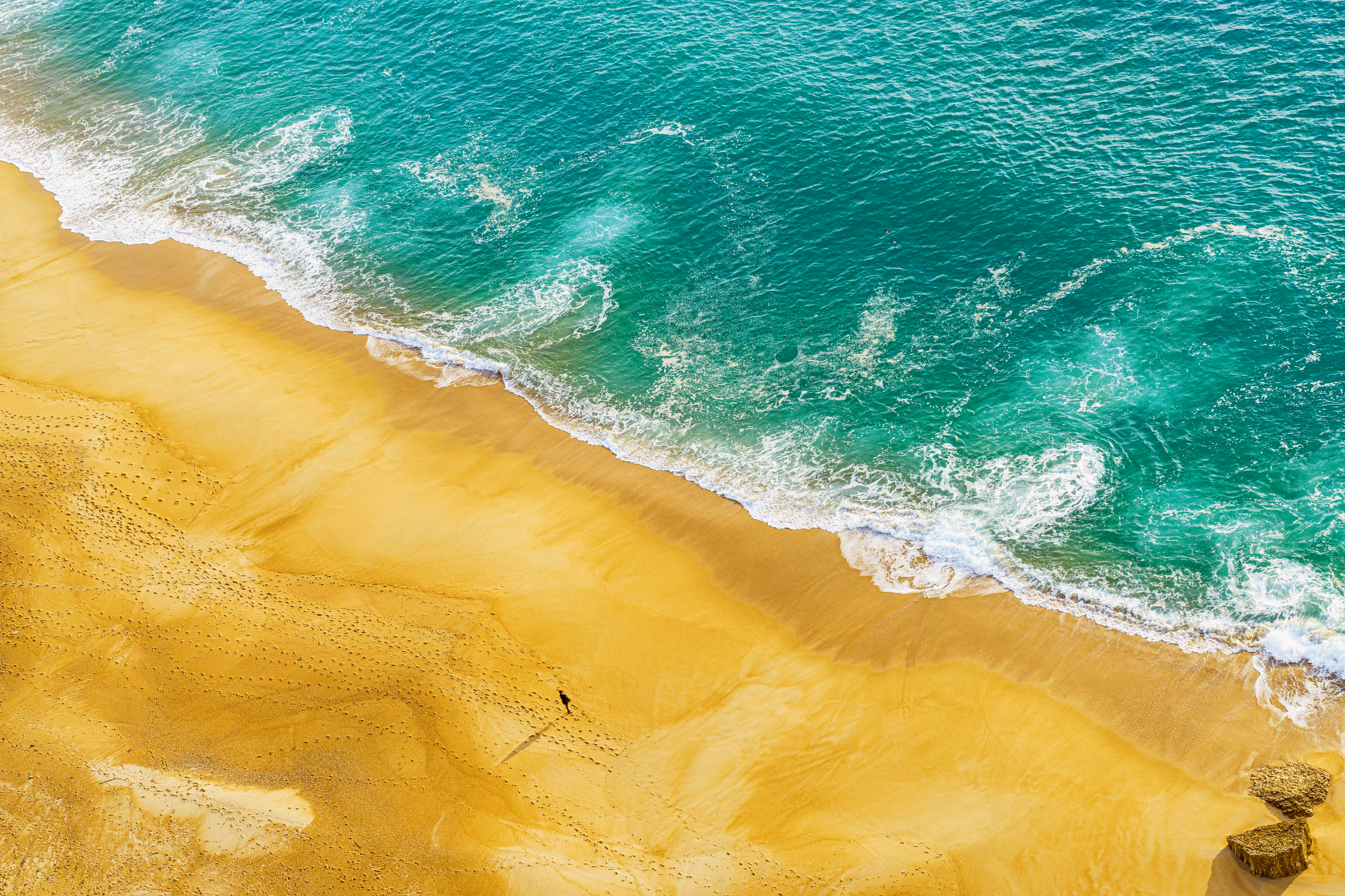 Looking at the Ocean