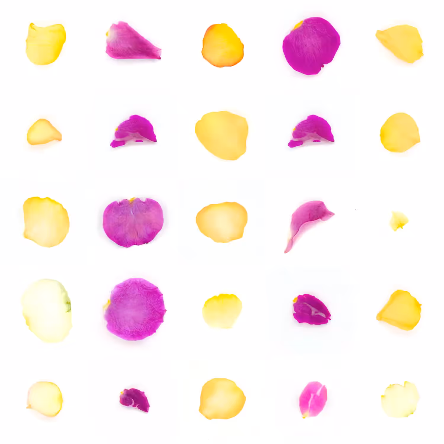 Infinite Petals 5x5#20750
