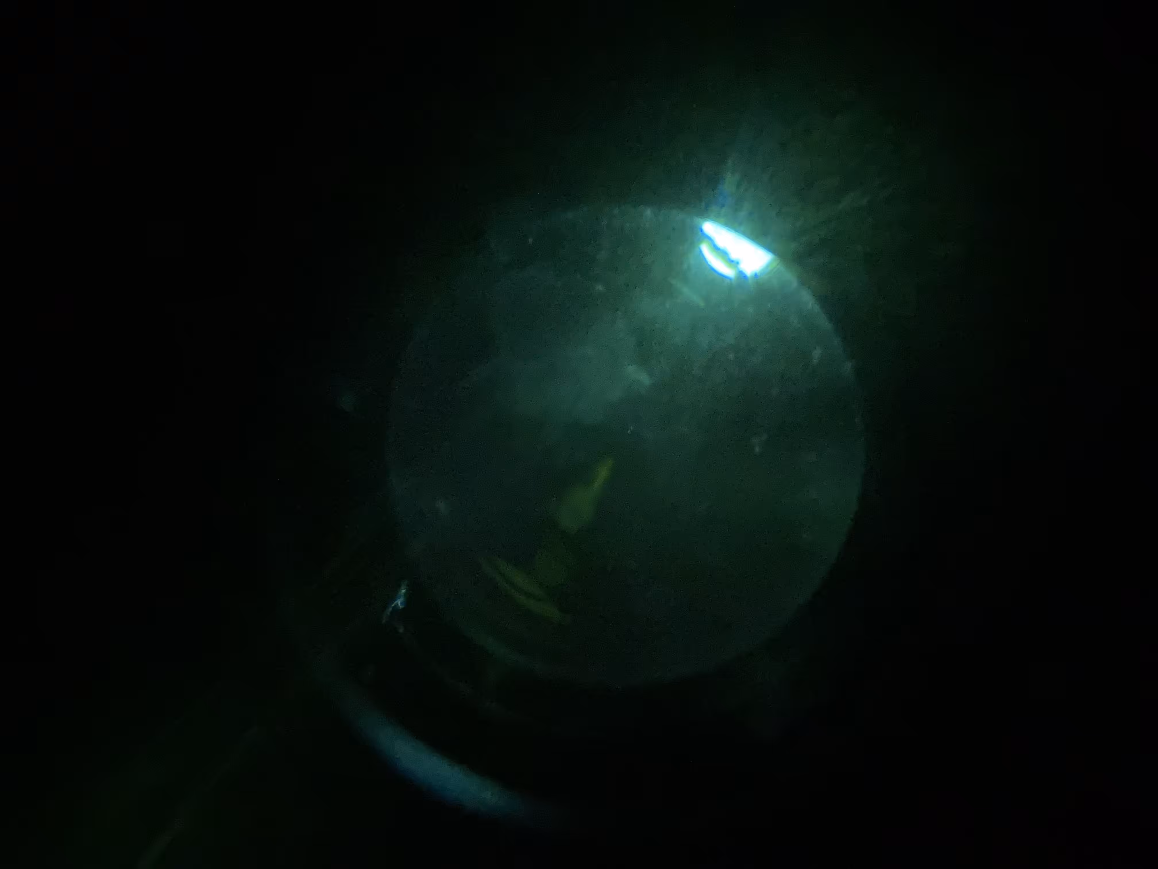 Mercury Lights Five