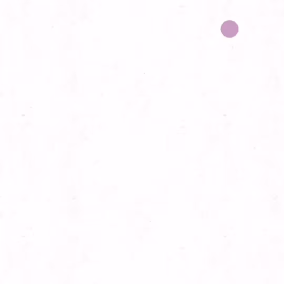 Rainball