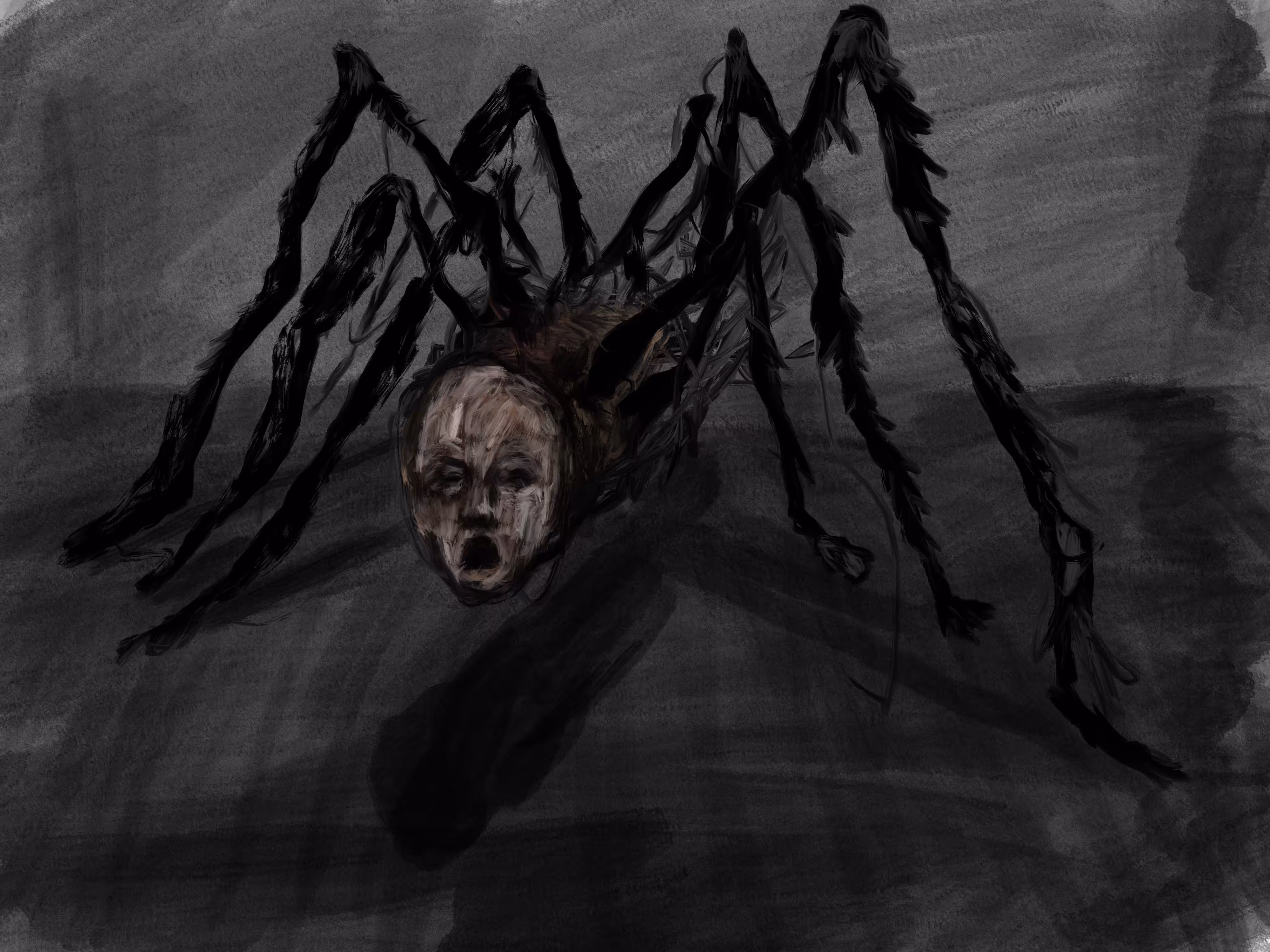Spider