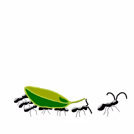 Ñdú