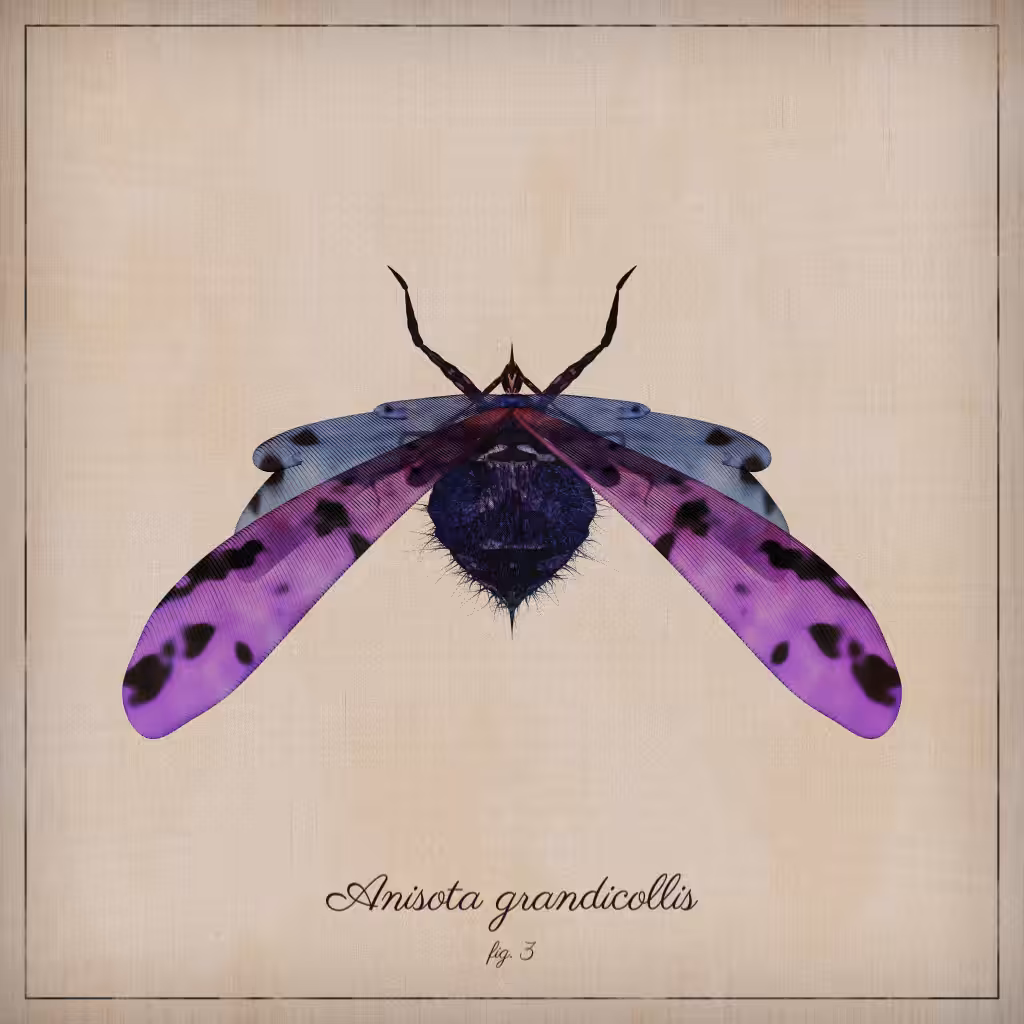 ProcGen Entomology #33
