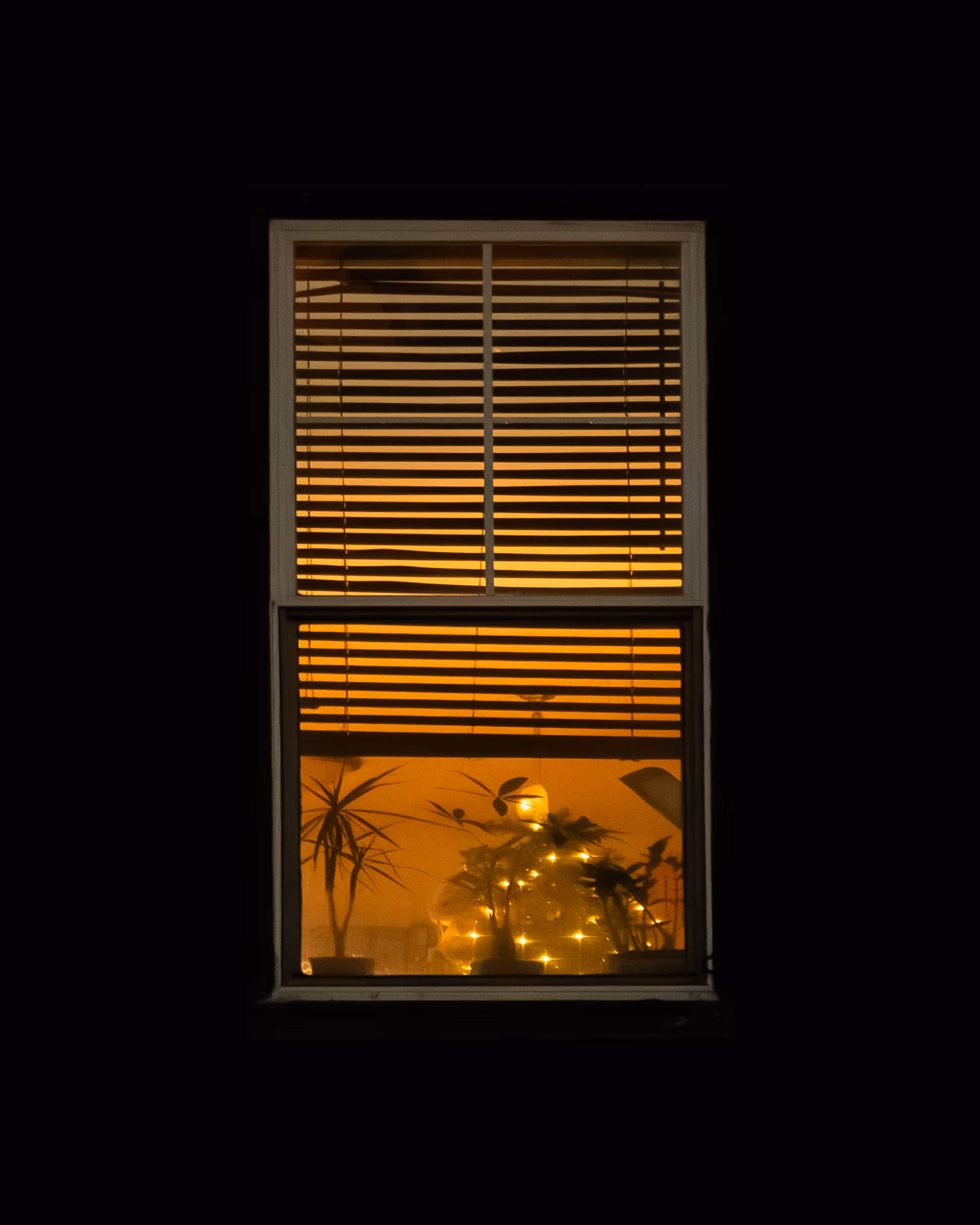 WINDOW 175