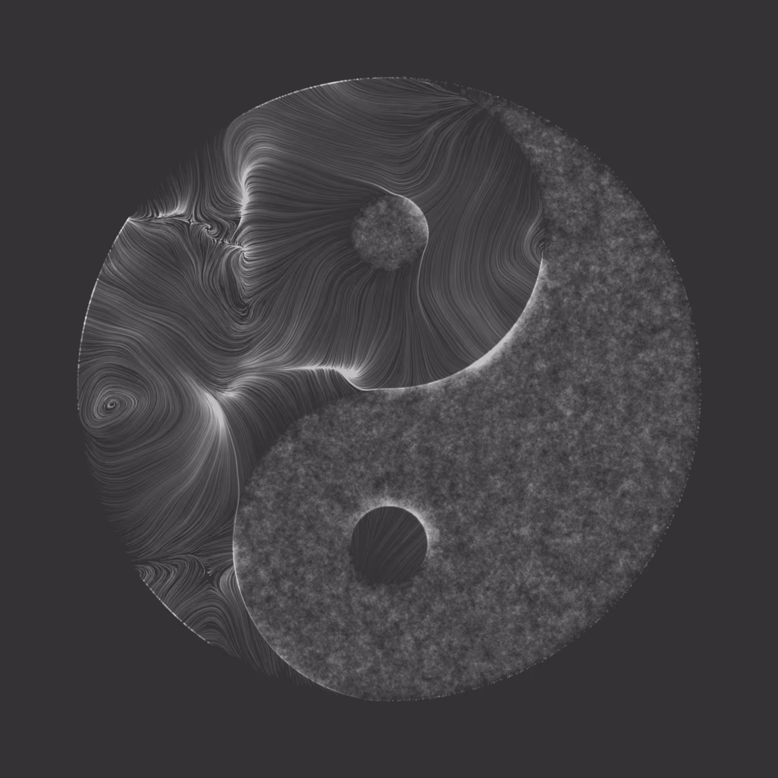 Yin Yang: Paths & Wander