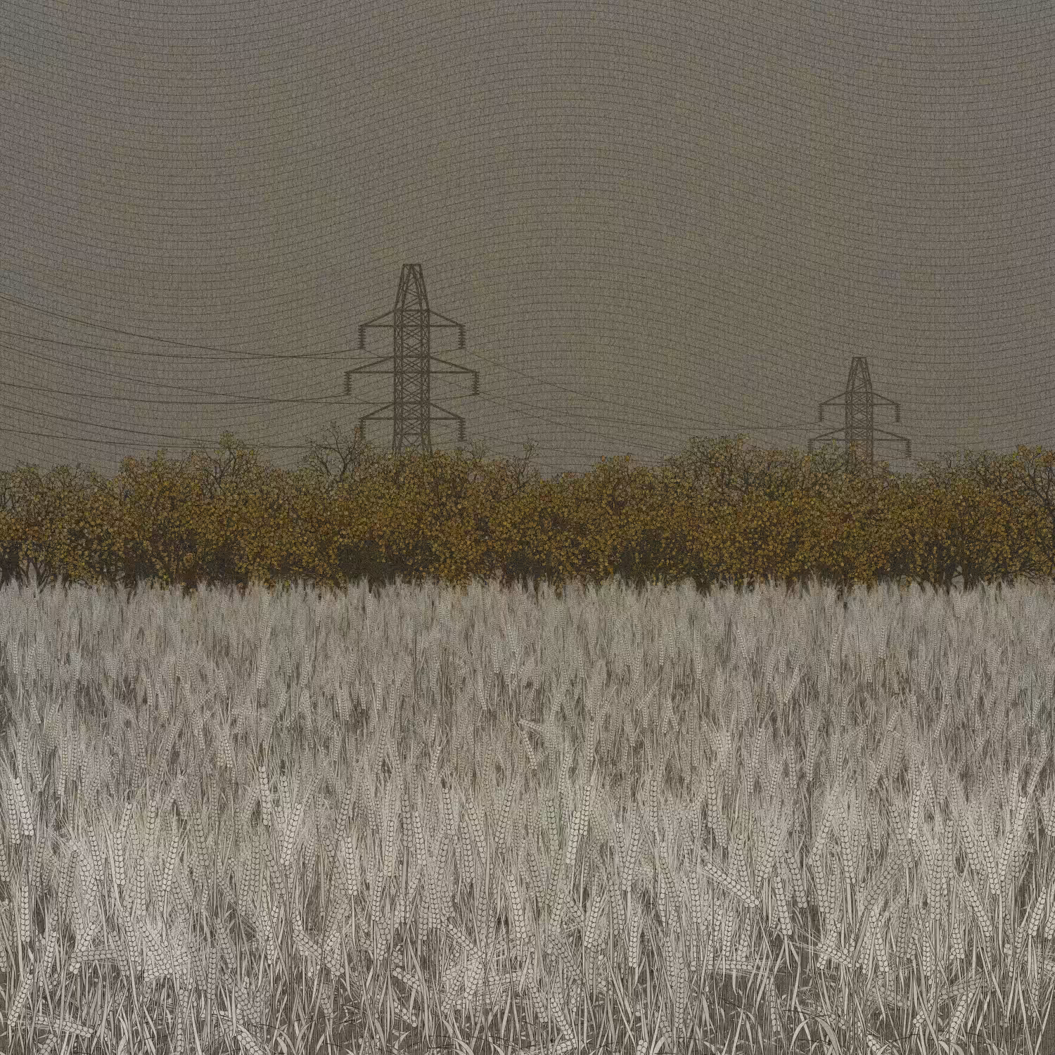 Fields of the Abandoned Homeland #17
