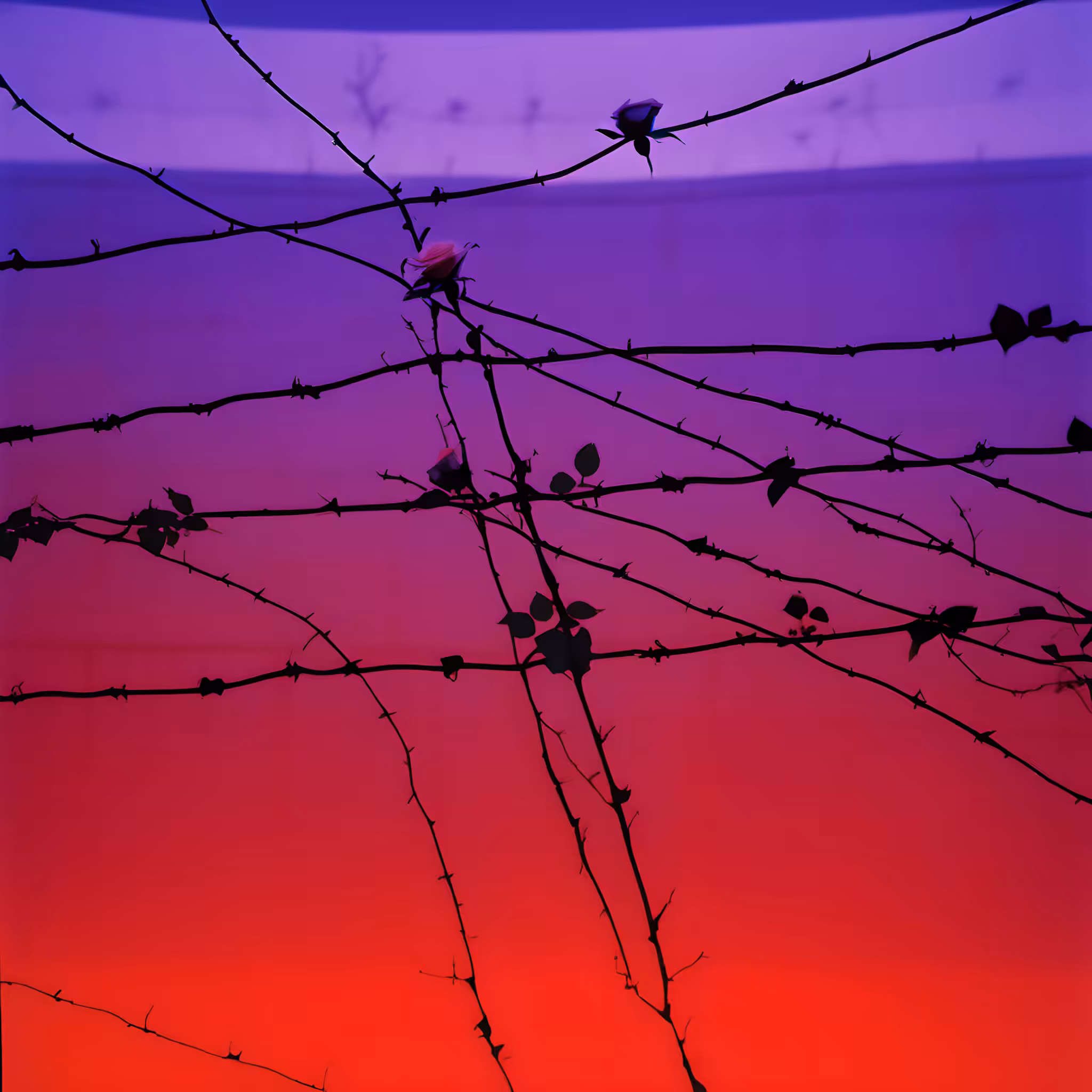 Between the hurricane and the wind #4