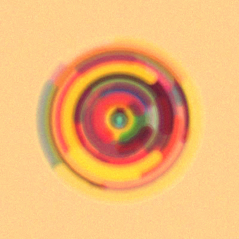 Wisp #305