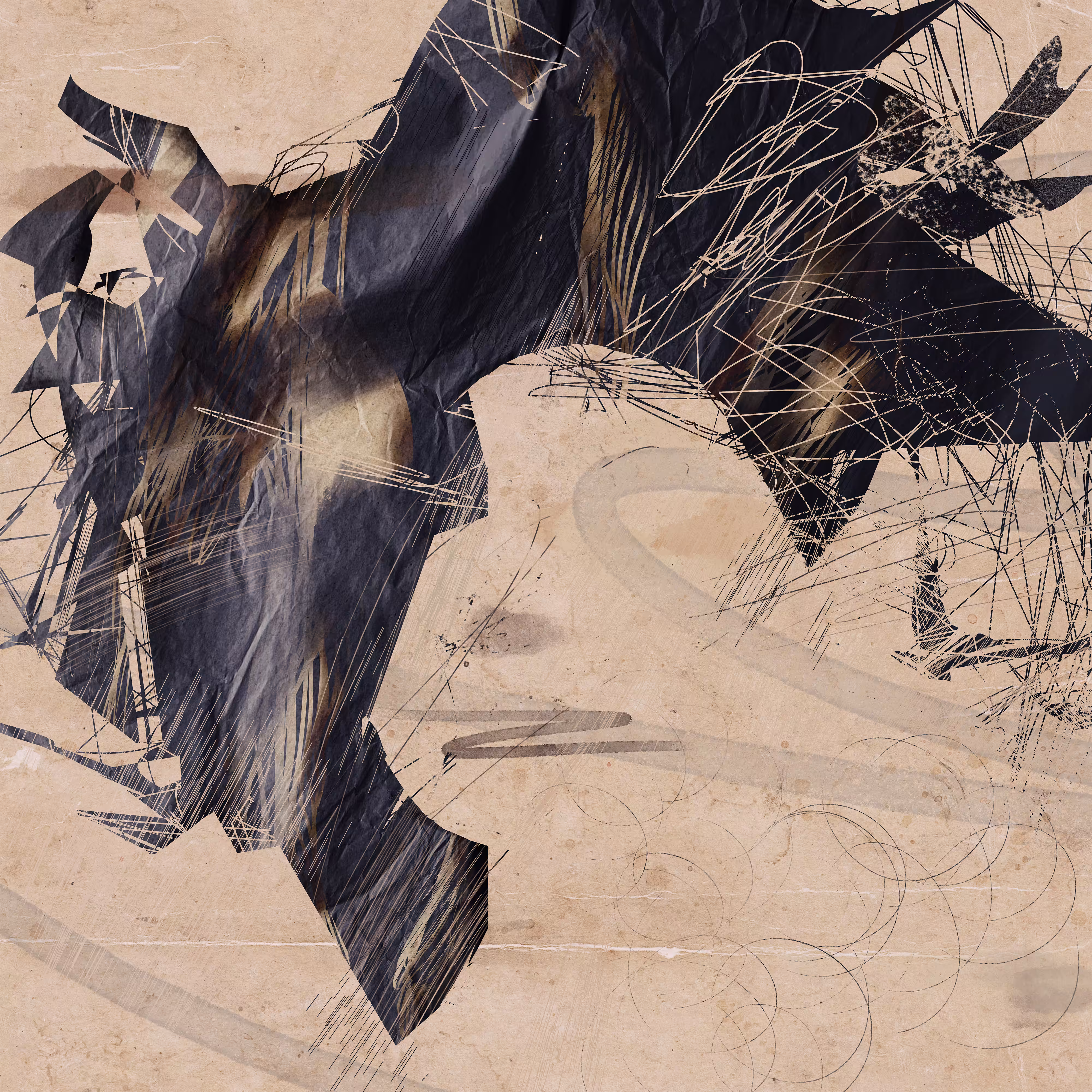 Missing Album Art 06
