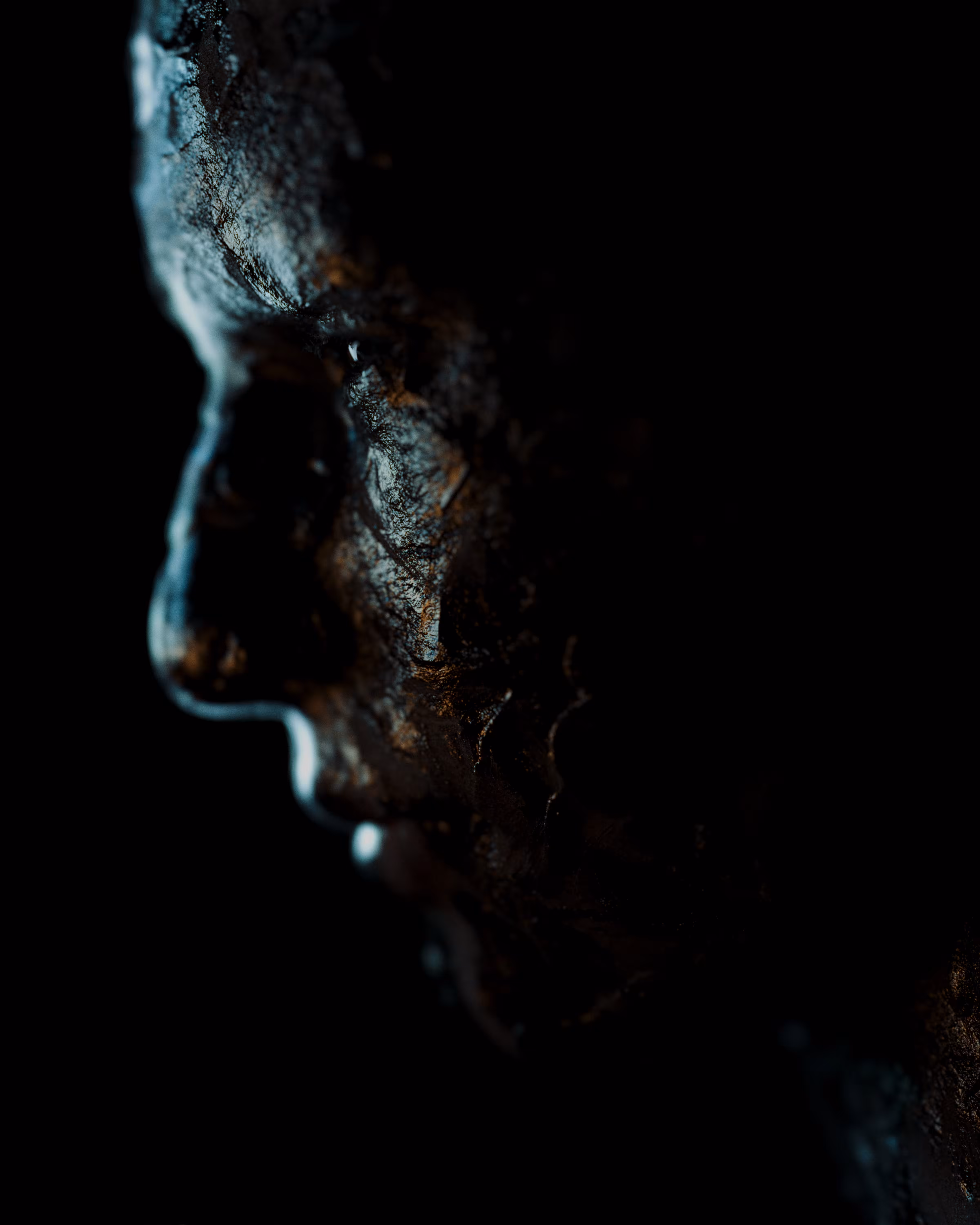 Vigil