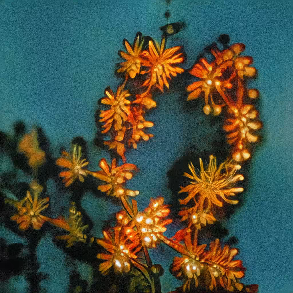278-644 Radiant Reflections Illuminate