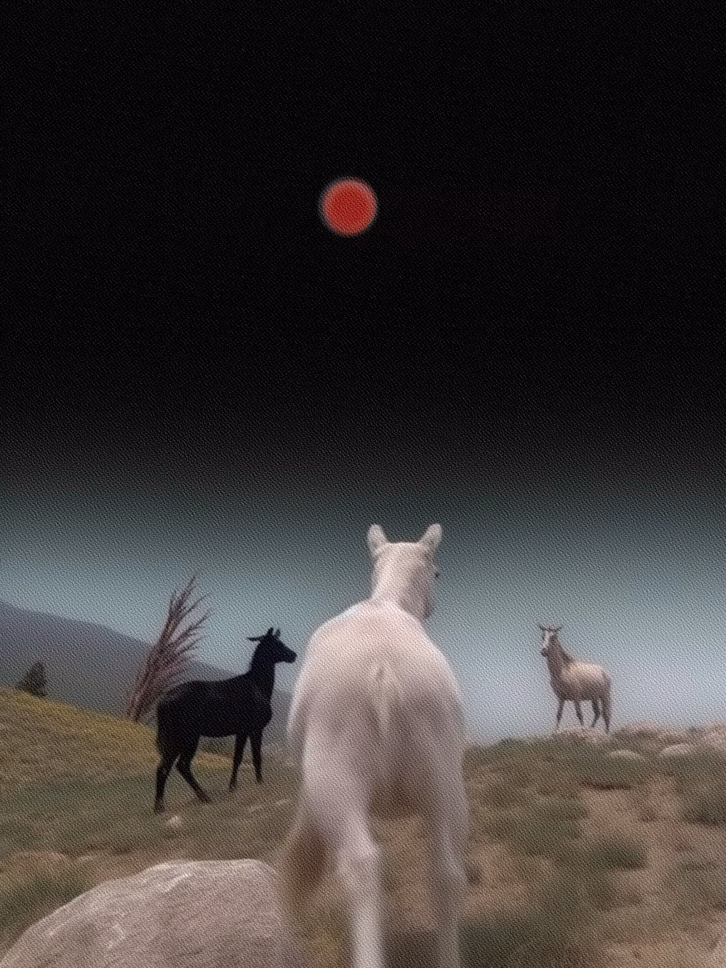 RED MOON