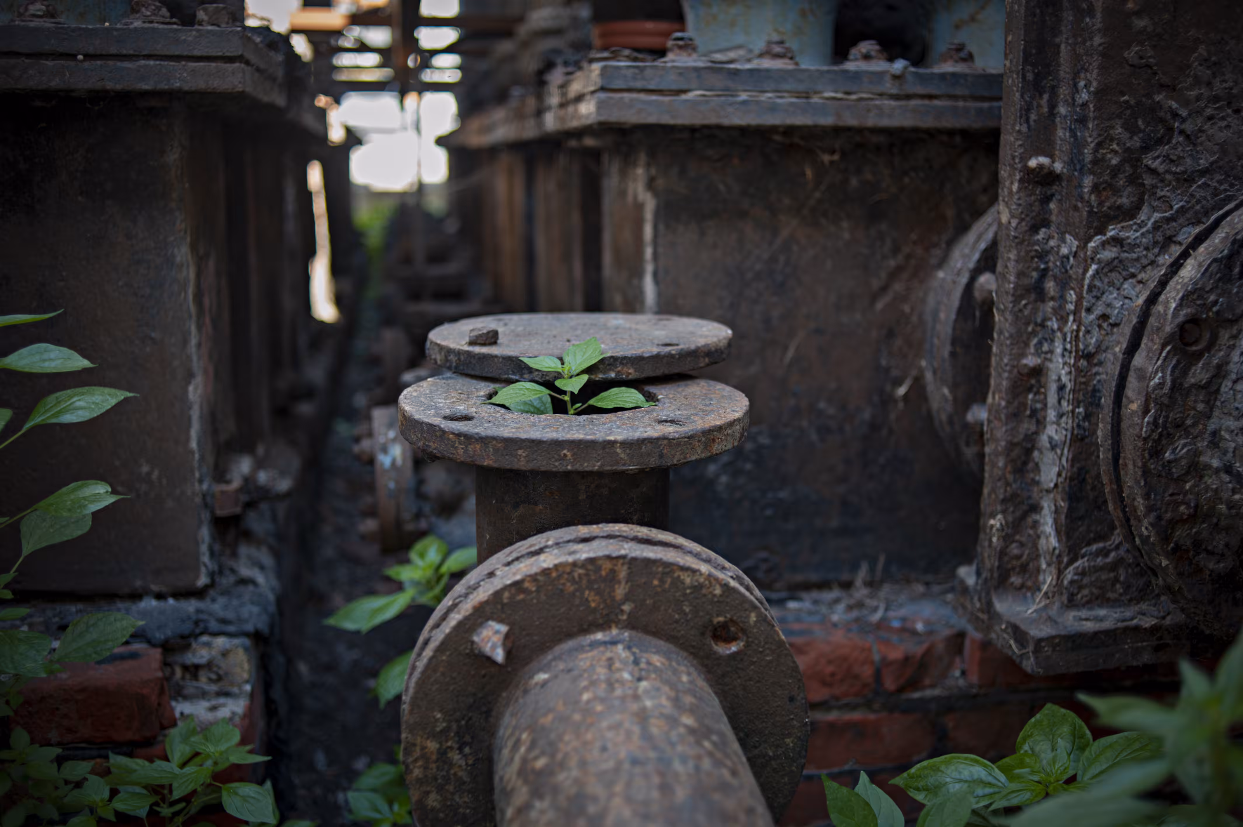 Metal and Nature
