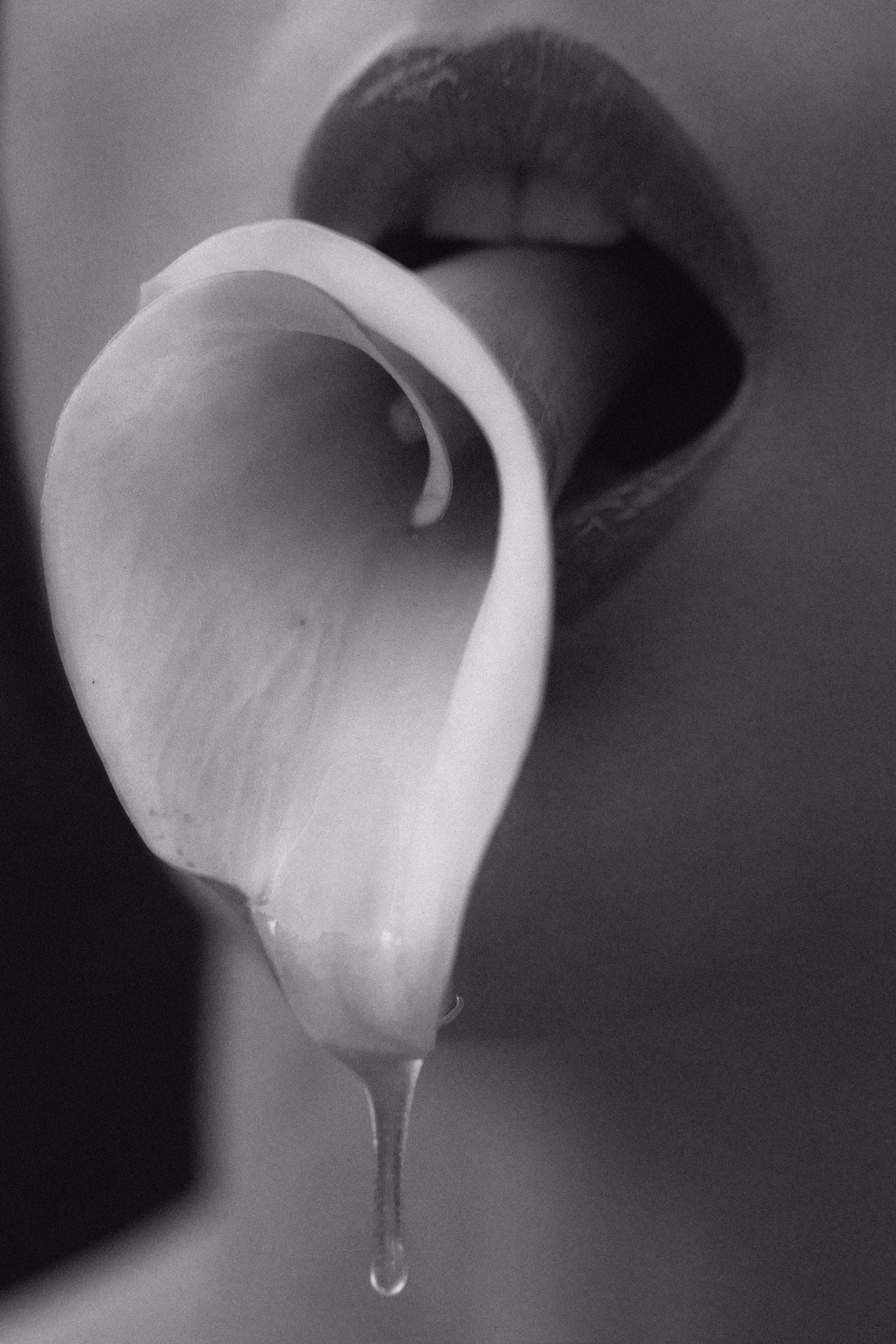 Temptation