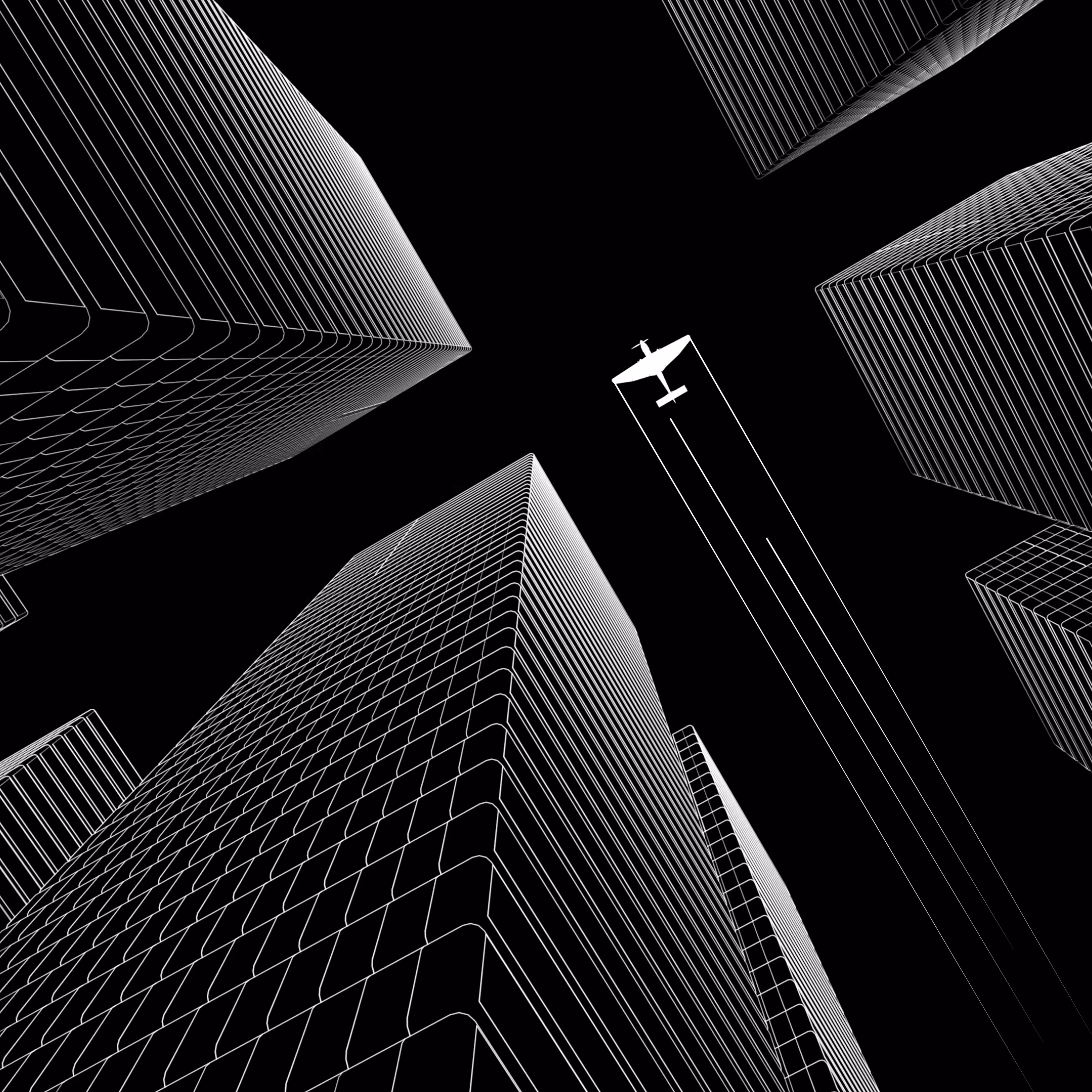 Fly High