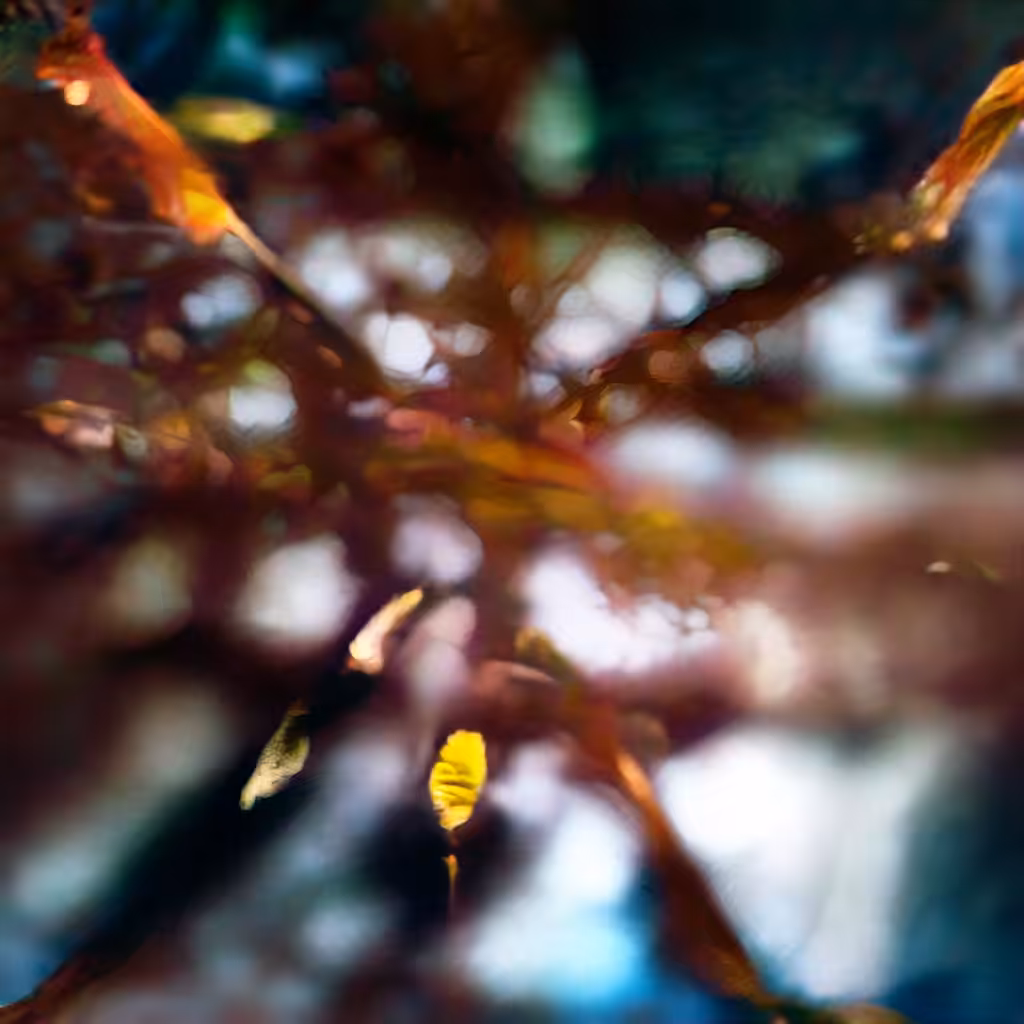 refract forward