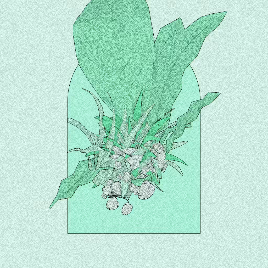 Botany #265