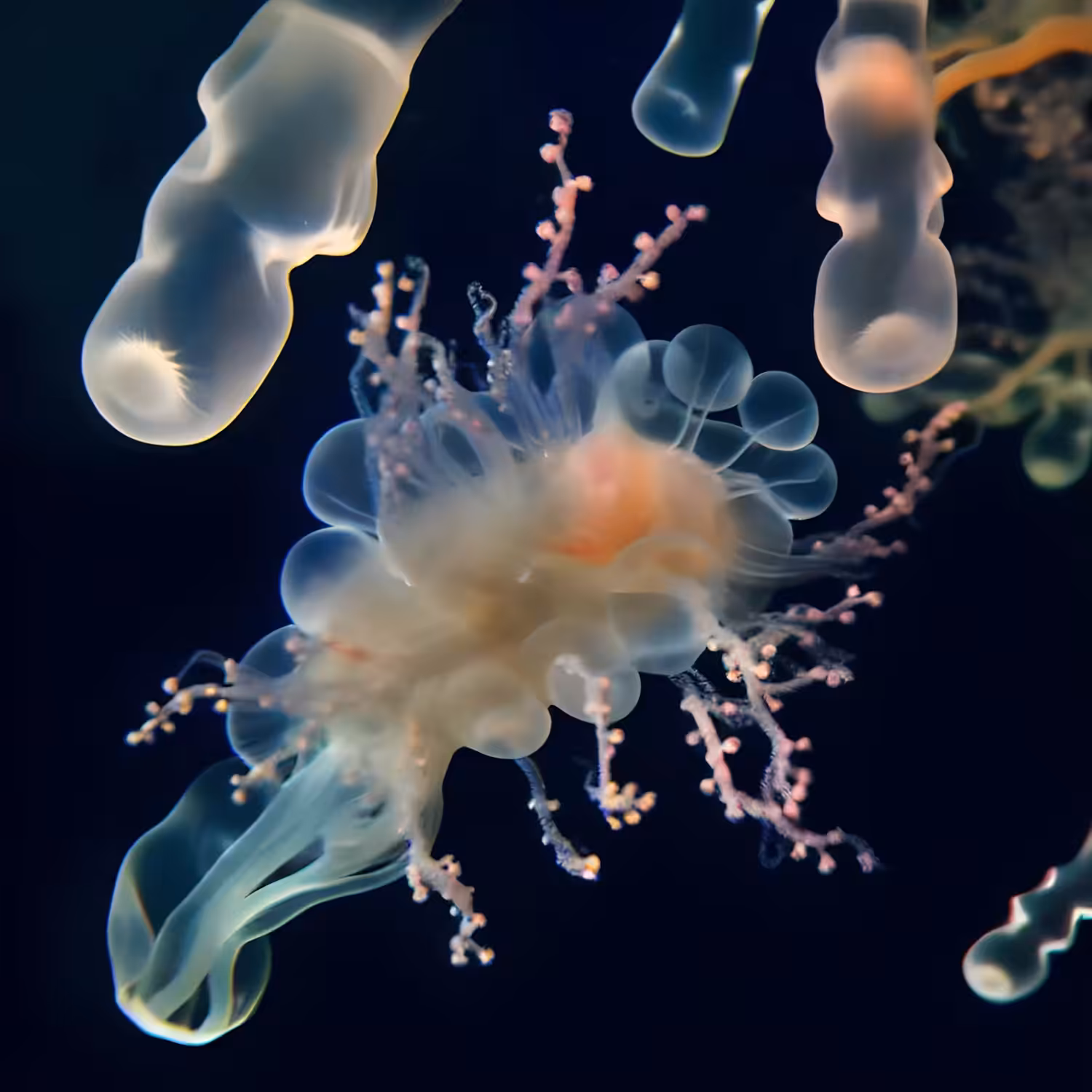 underwater #02