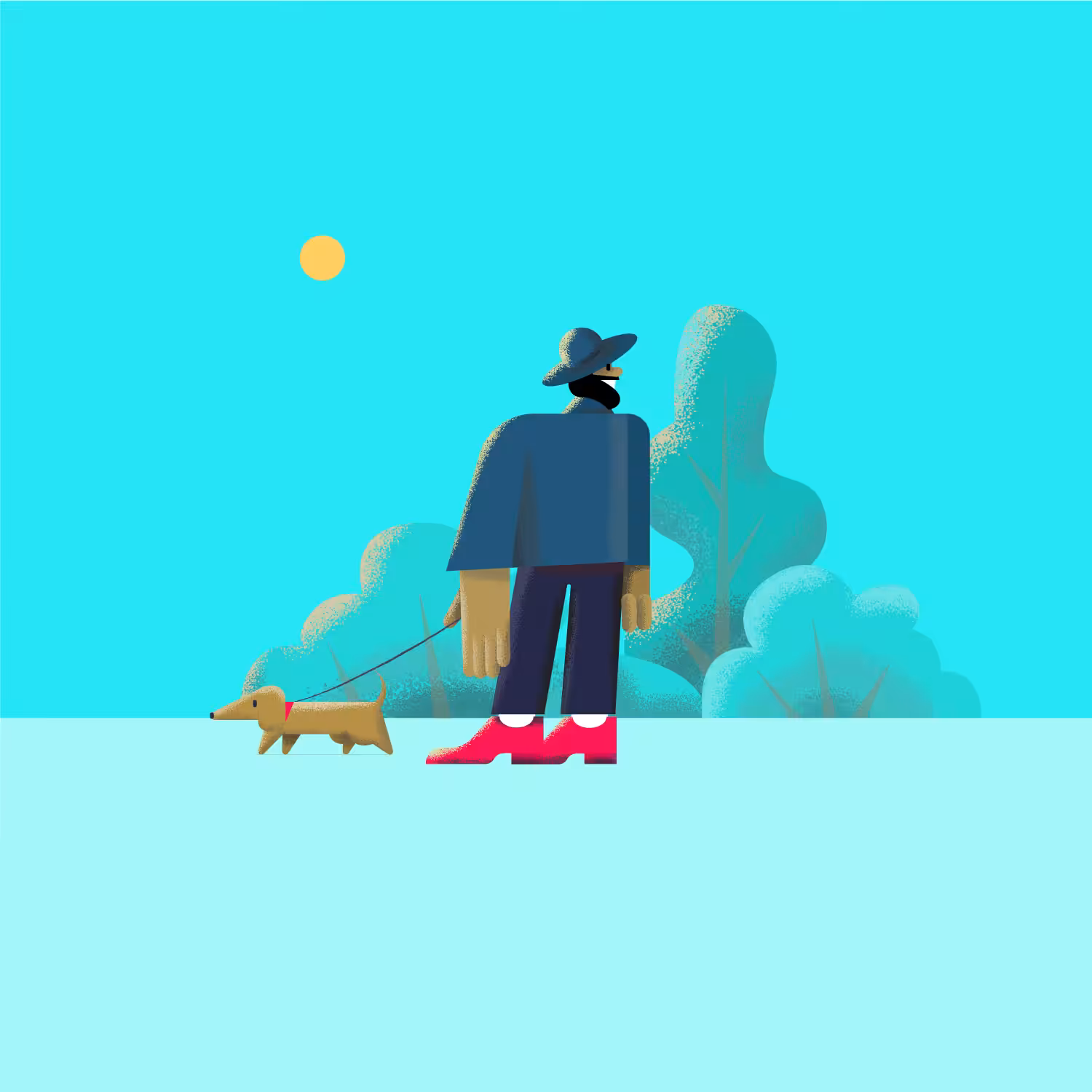 Walk your Dog - Teckel