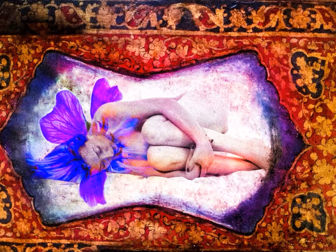 Open Editions: A Dream 