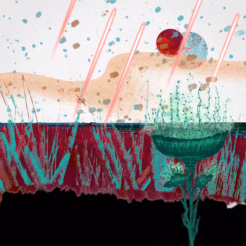 Ceshan's Psychedelics #487