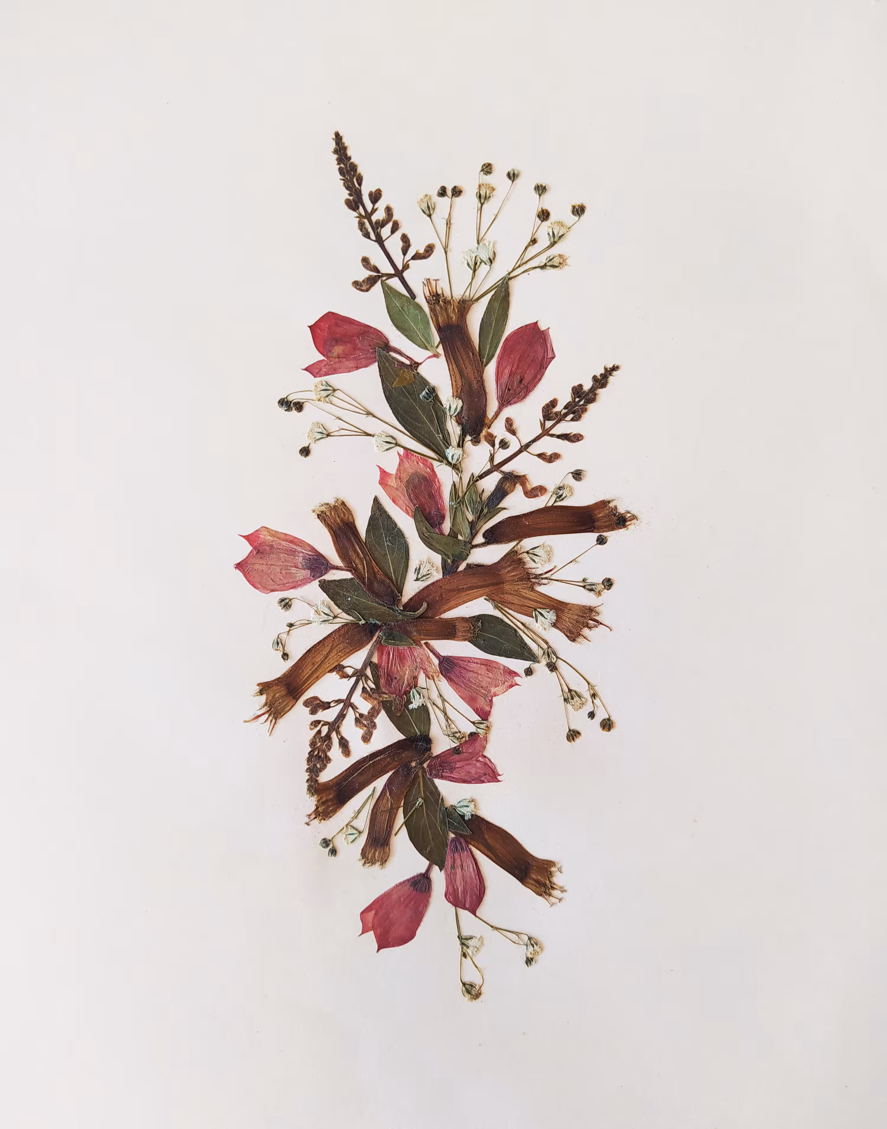 Still life n.03