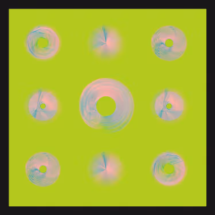Spiny Spinners #1