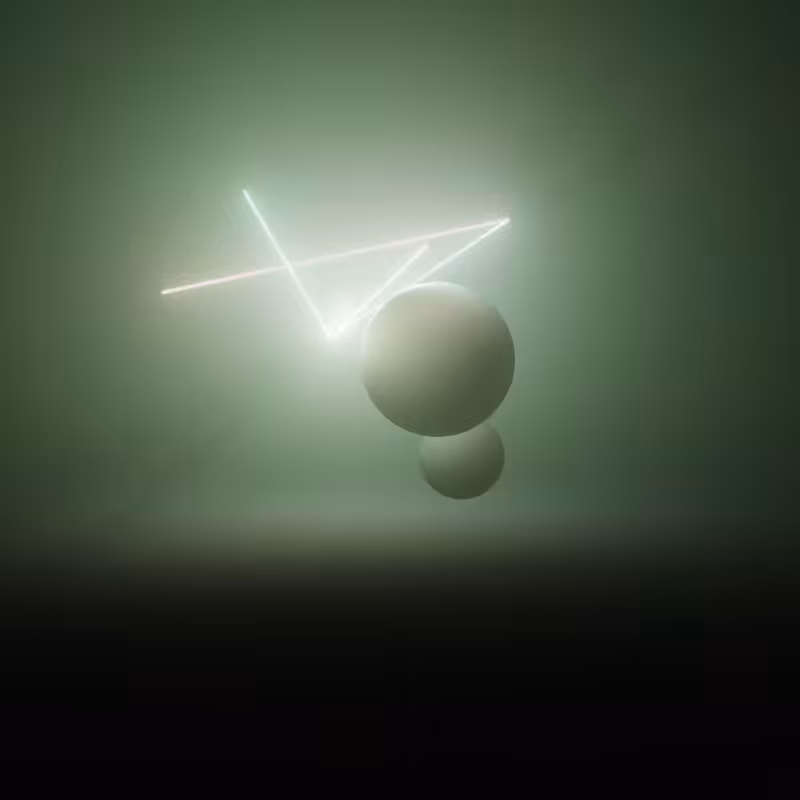 Wandering Nets #24