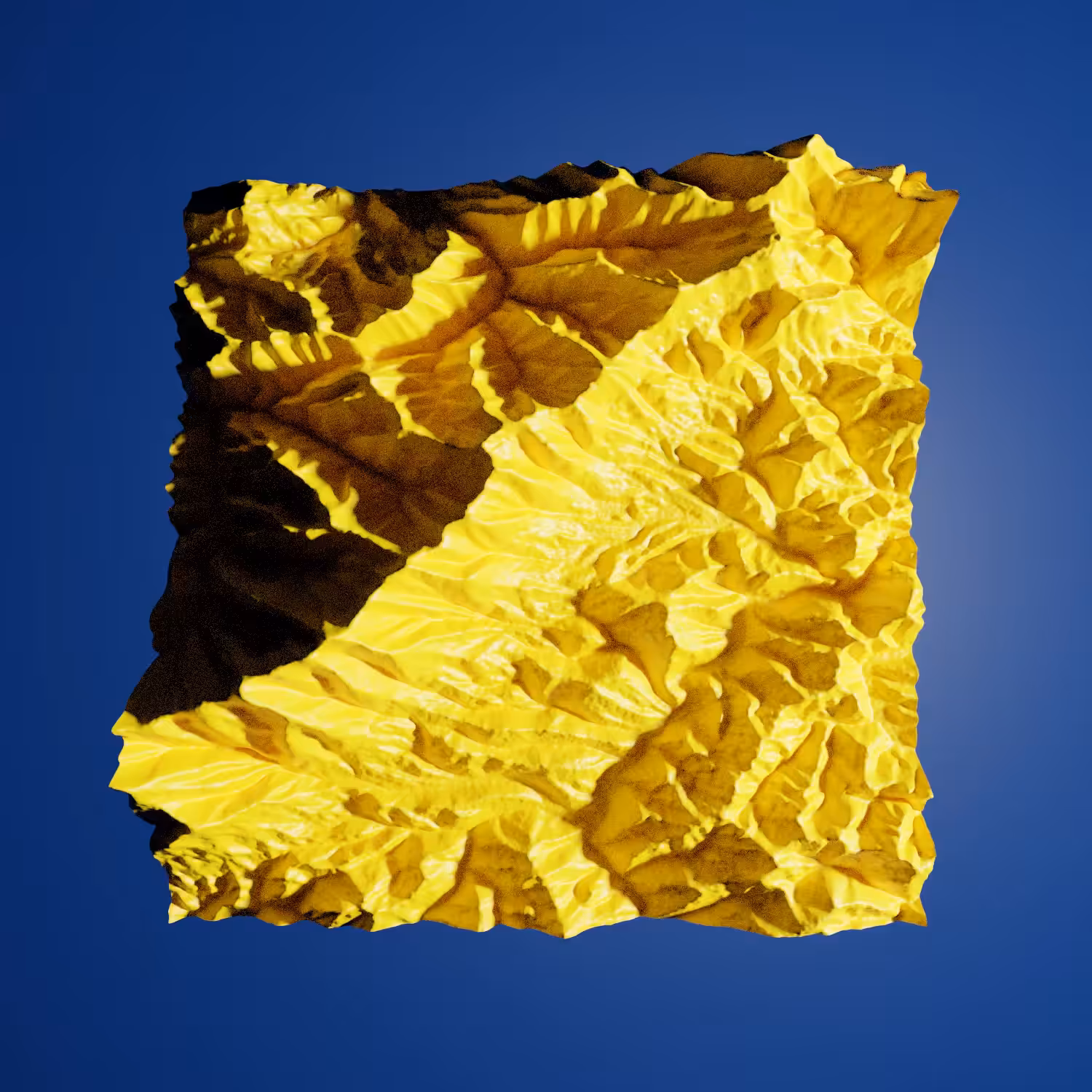 🇺🇦