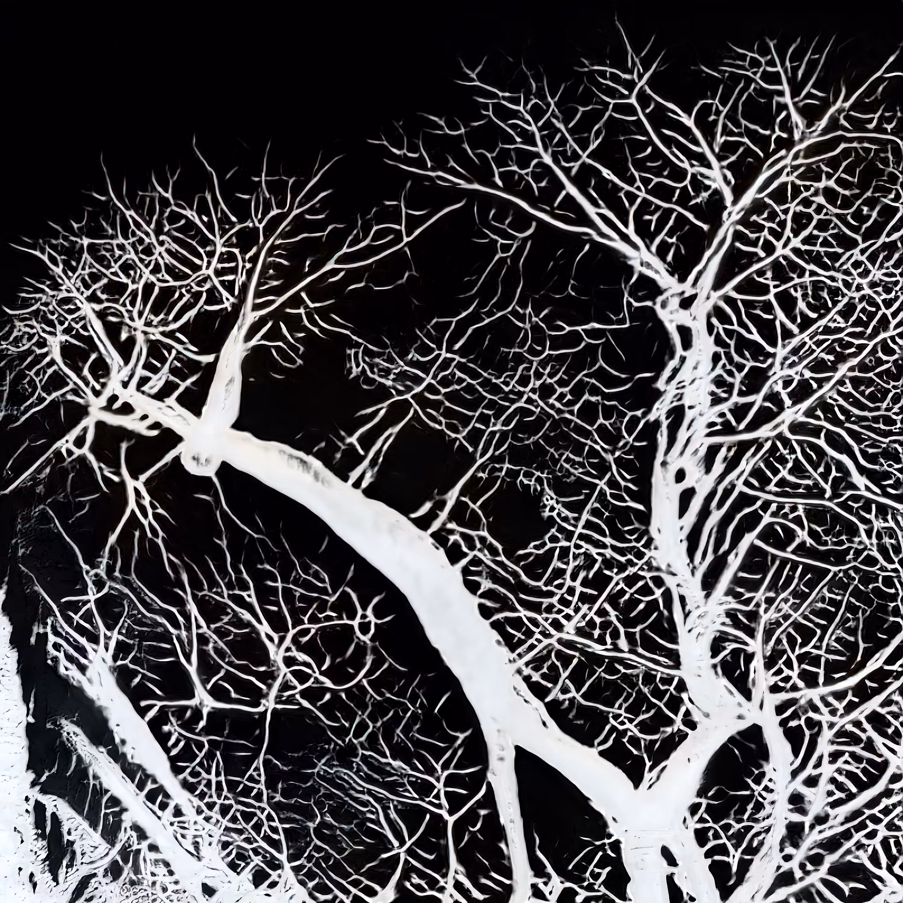 Mirkwood II
